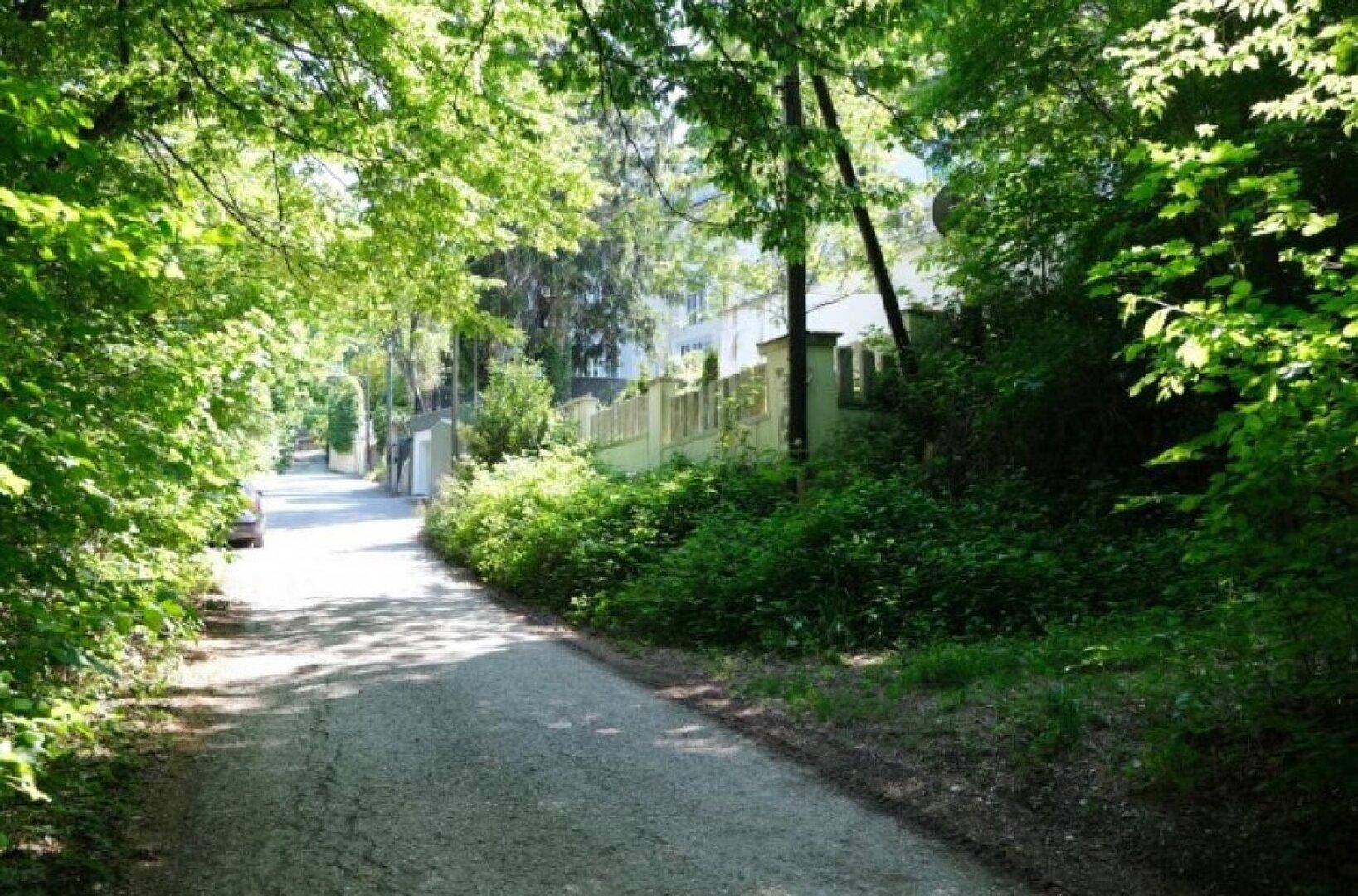 Ein von Bäumen gesäumter Weg führt durch eine grüne Landschaft, mit einem Gebäude im Hintergrund.