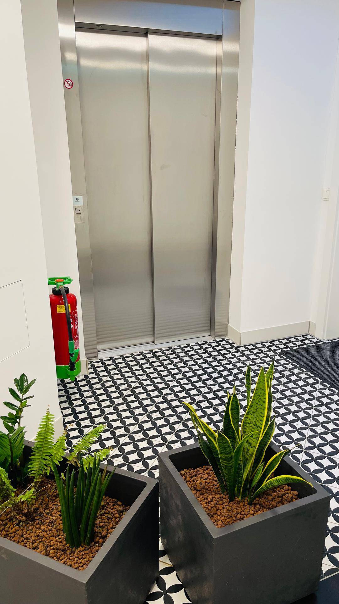 Moderner Aufzugsbereich in einem Flur mit dekorativen Pflanzen und gemusterten Bodenfliesen.