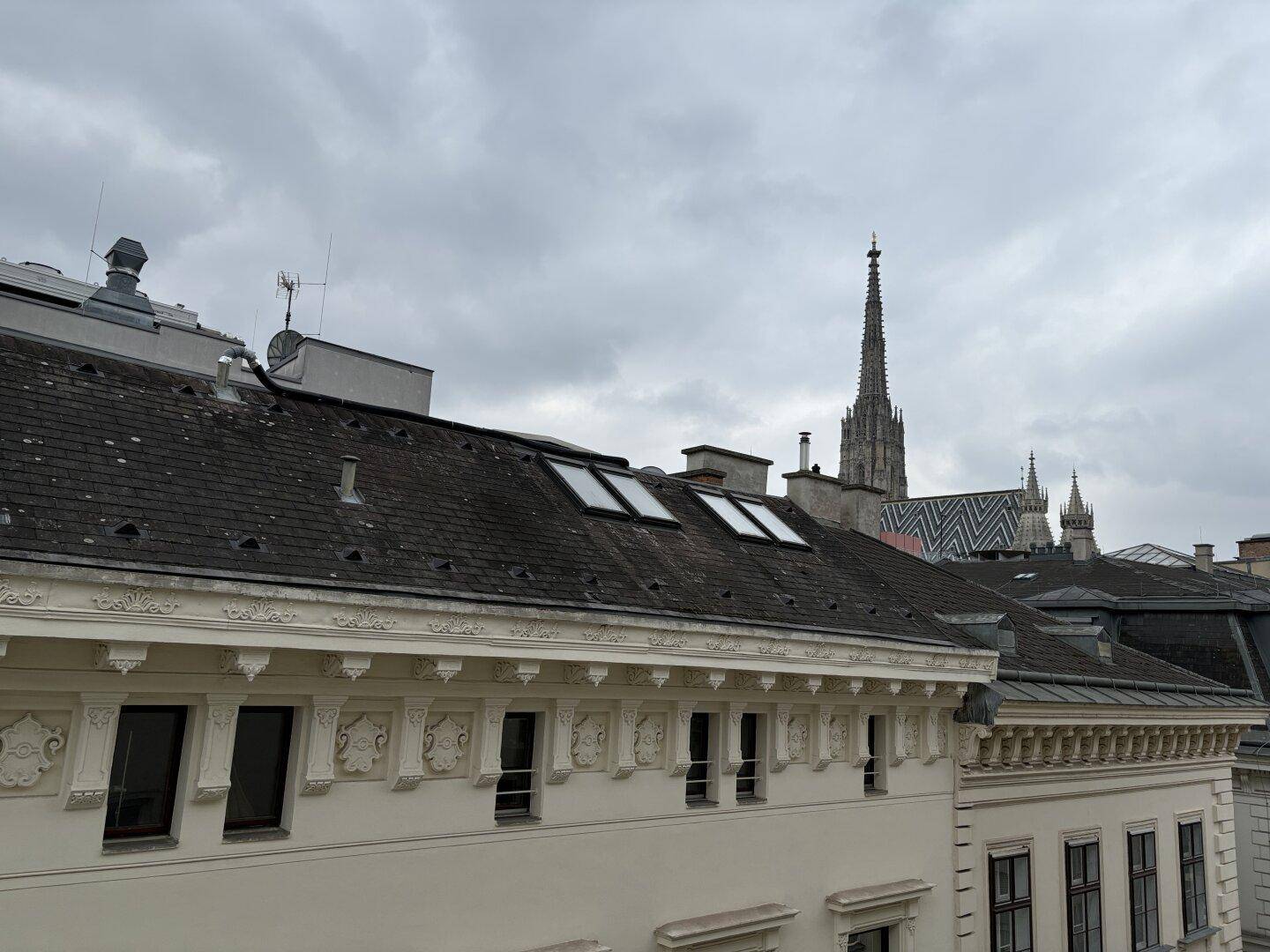 Dachlandschaft mit Gaubenfenstern und dem Stephansdom im Hintergrund unter bewölktem Himmel.