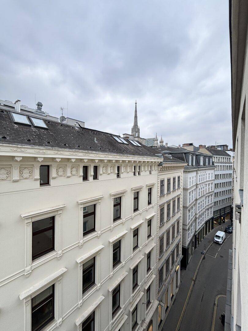 Historische Gebäude entlang einer Straße mit Blick auf den Stephansdom in der Ferne.