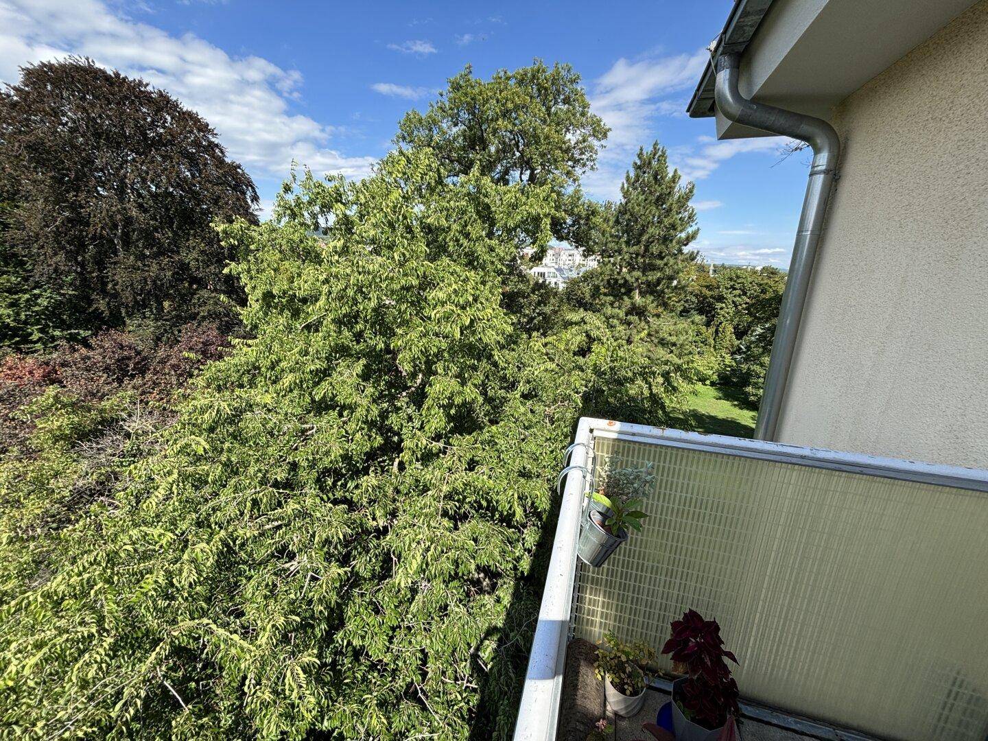 Blick vom Balkon auf eine üppige grüne Landschaft mit Bäumen und einem Gebäude in der Ferne.