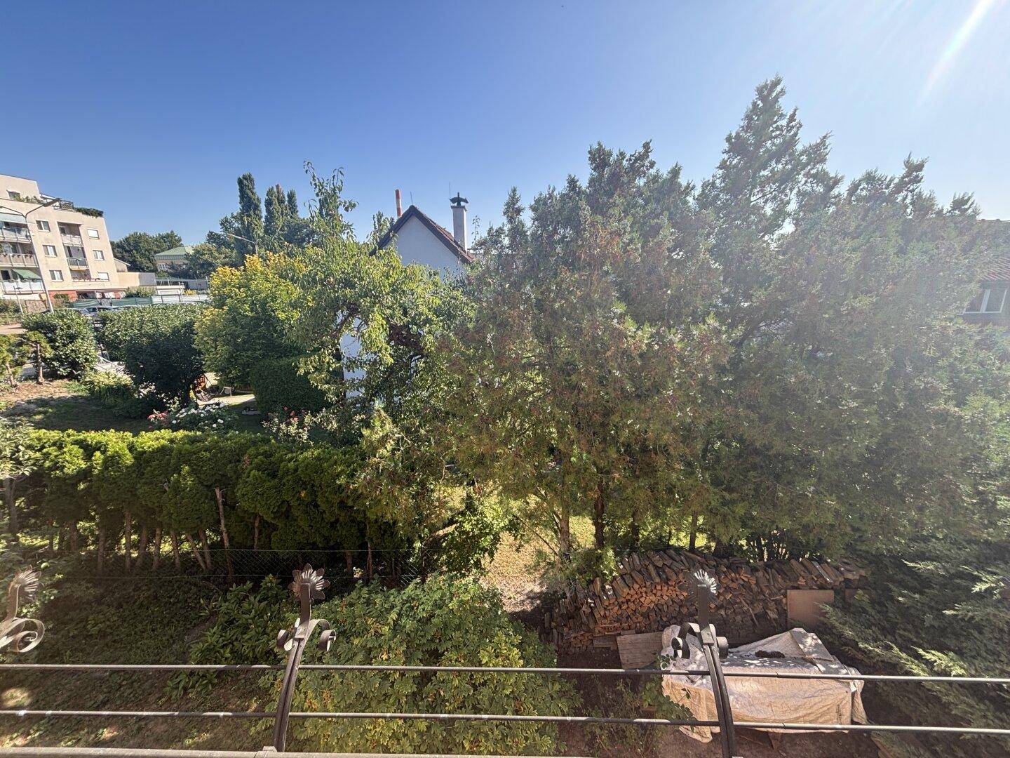 Panoramablick von einem Balkon über grüne Bäume, einen Holzstapel und die Nachbarschaft.