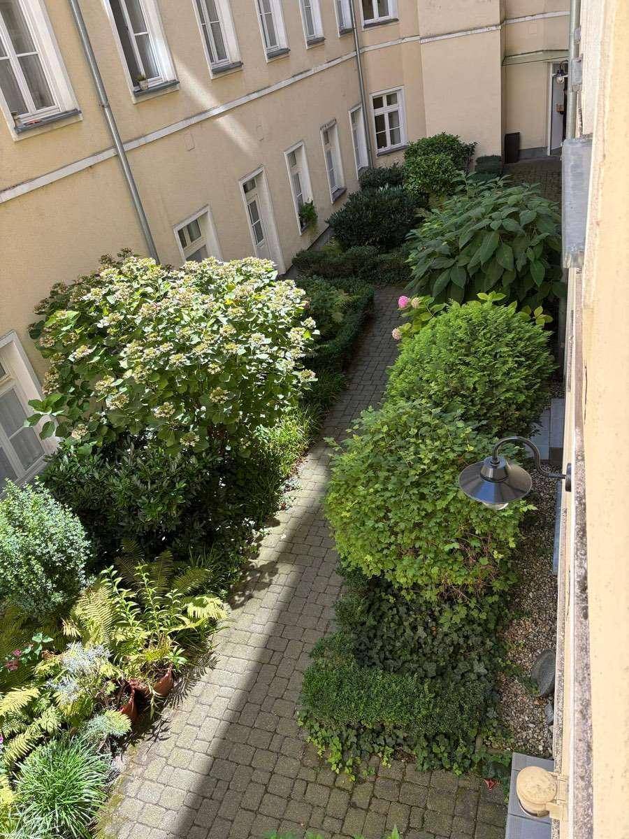 Gepflegter Innenhofgarten mit einem gepflasterten Weg und üppiger Bepflanzung.