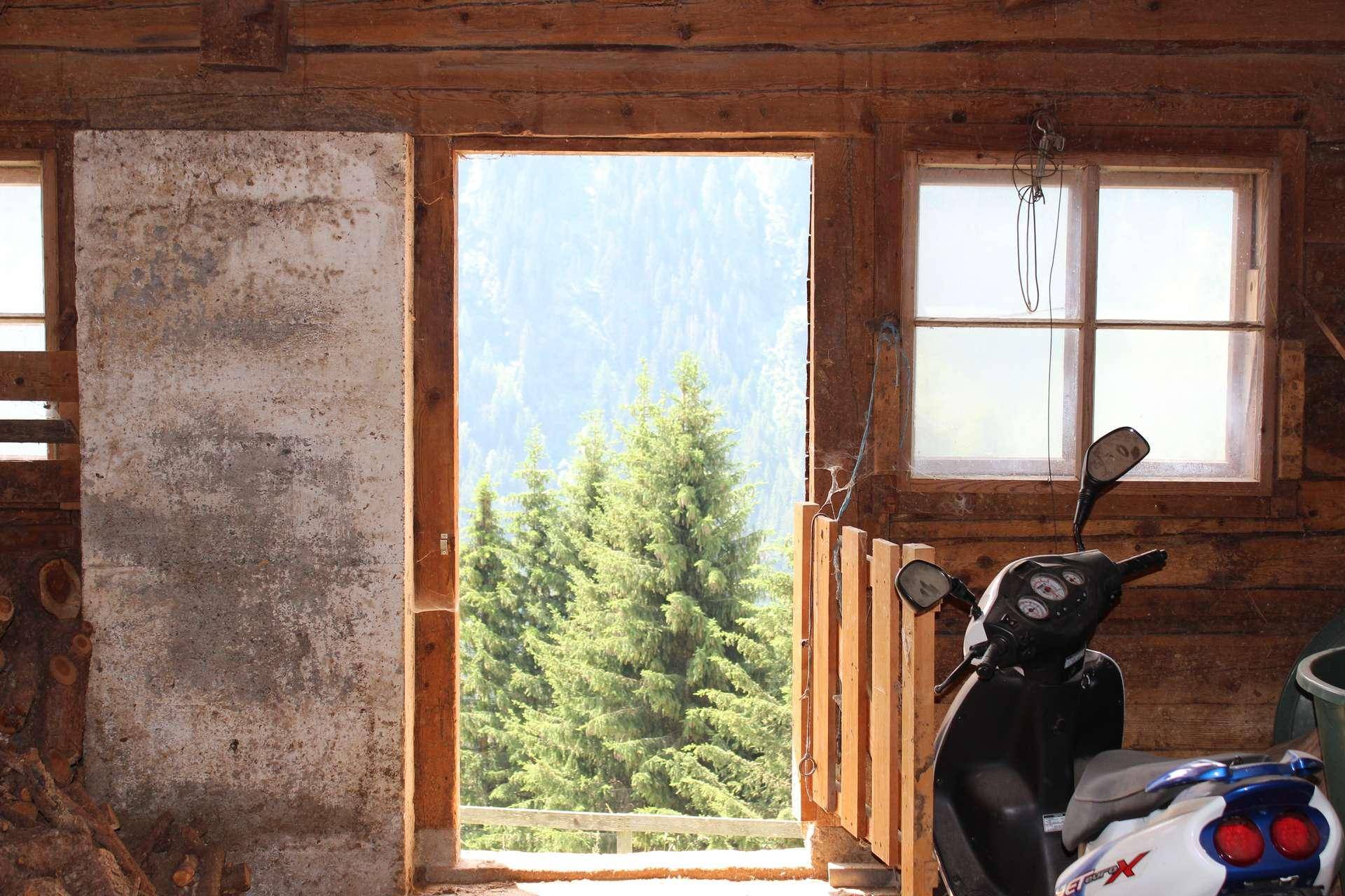 Innenansicht eines rustikalen Holzschuppens mit offenem Tor, das den Blick auf Tannen und Berge freigibt.