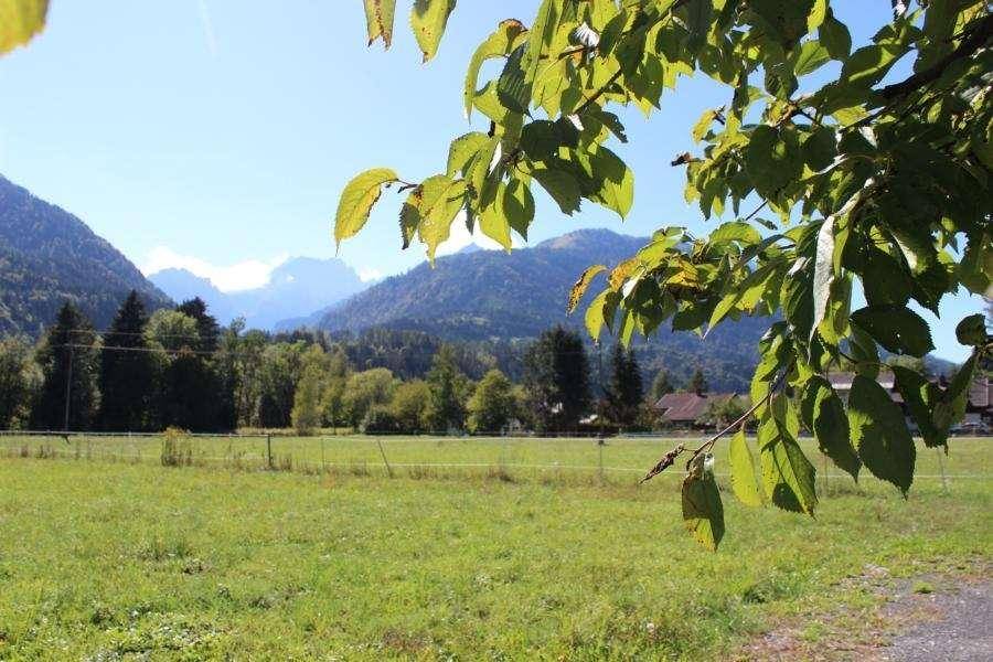 Weitläufige grüne Wiesen mit Bergen im Hintergrund unter strahlend blauem Himmel.