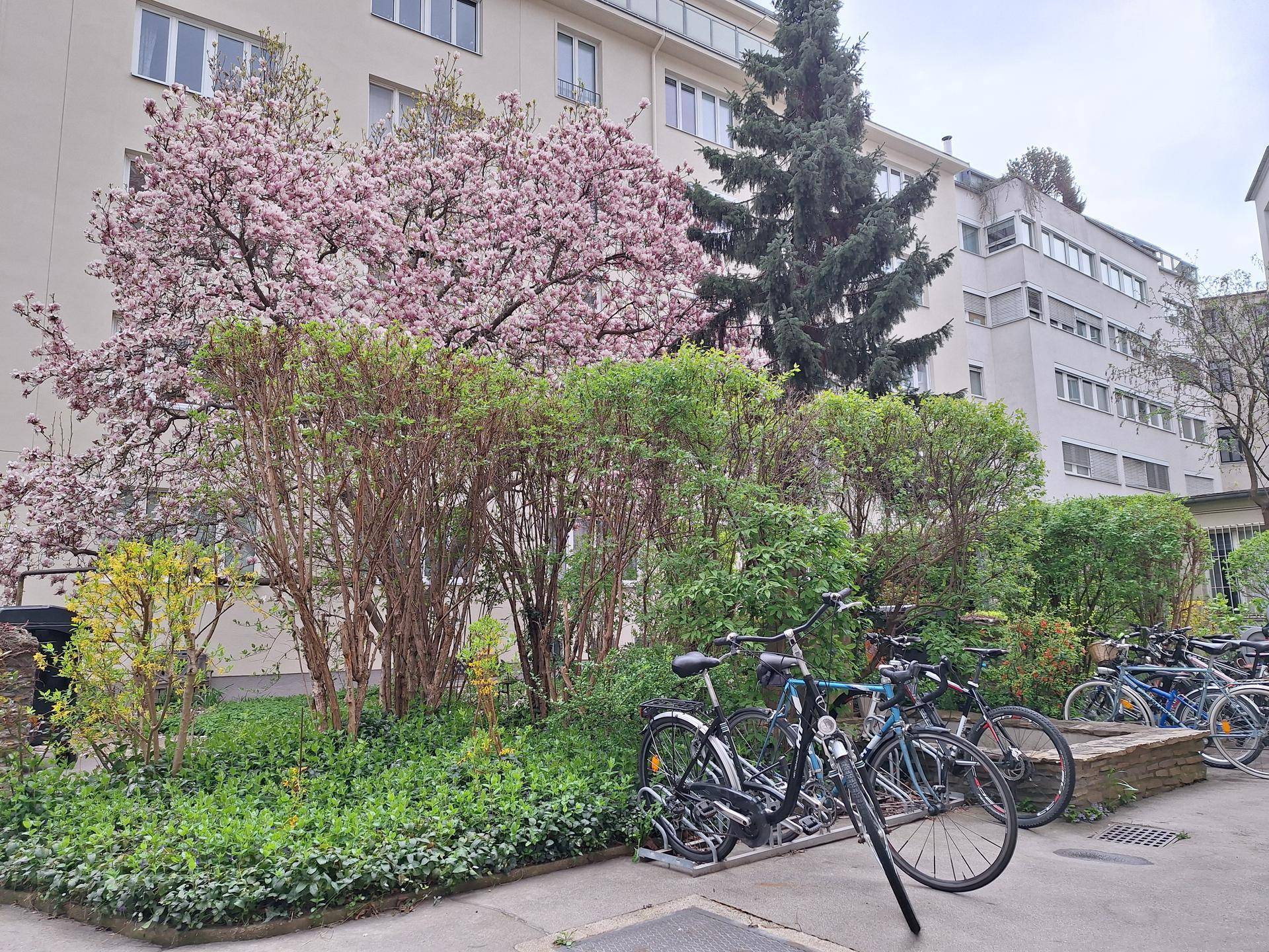 Grüne Außenanlage mit blühenden Bäumen, Büschen und Fahrradstellplätzen vor einem Wohngebäude.