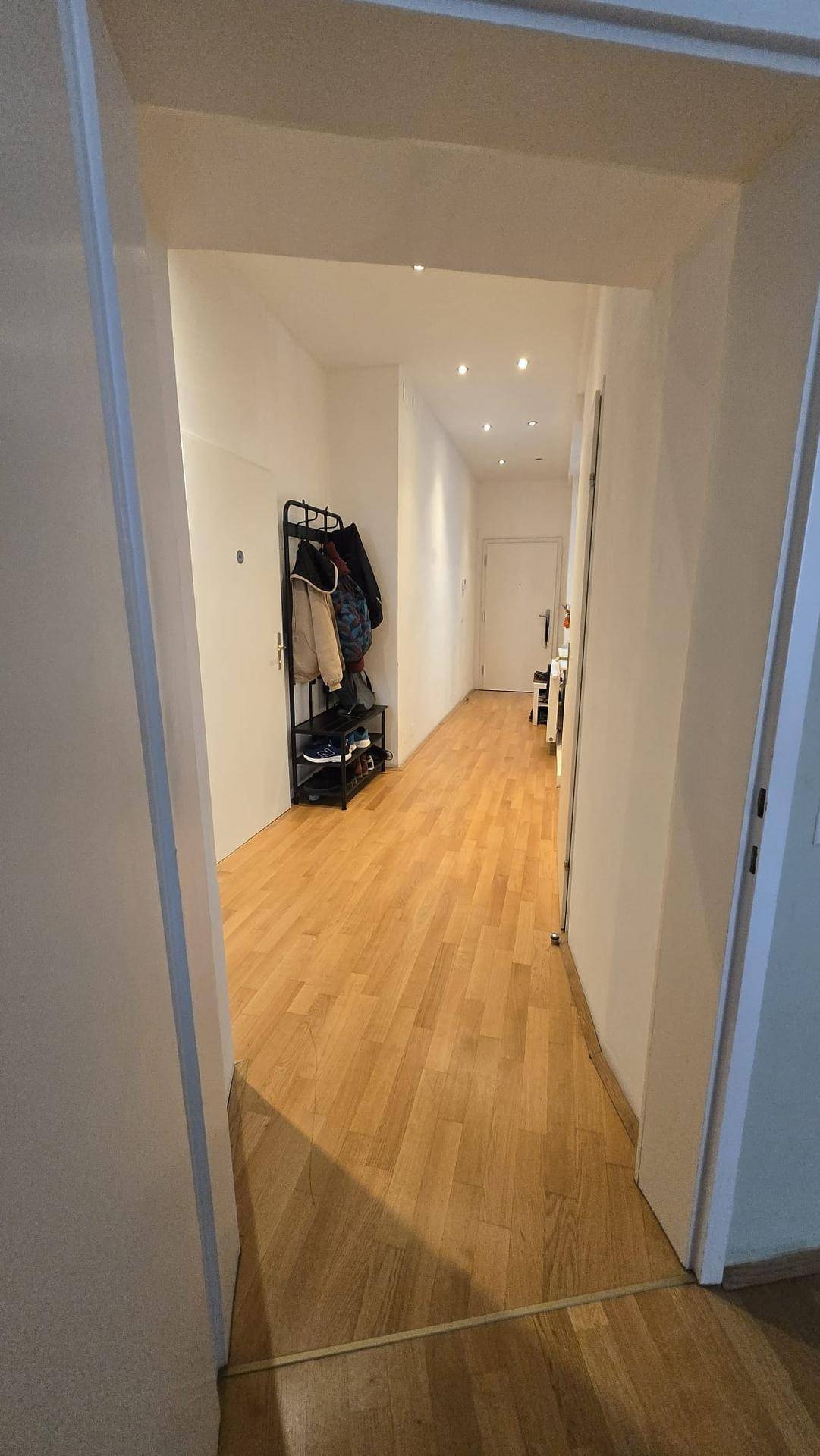 Langer Flur mit Parkettboden und Einbaustrahlern in der Decke.