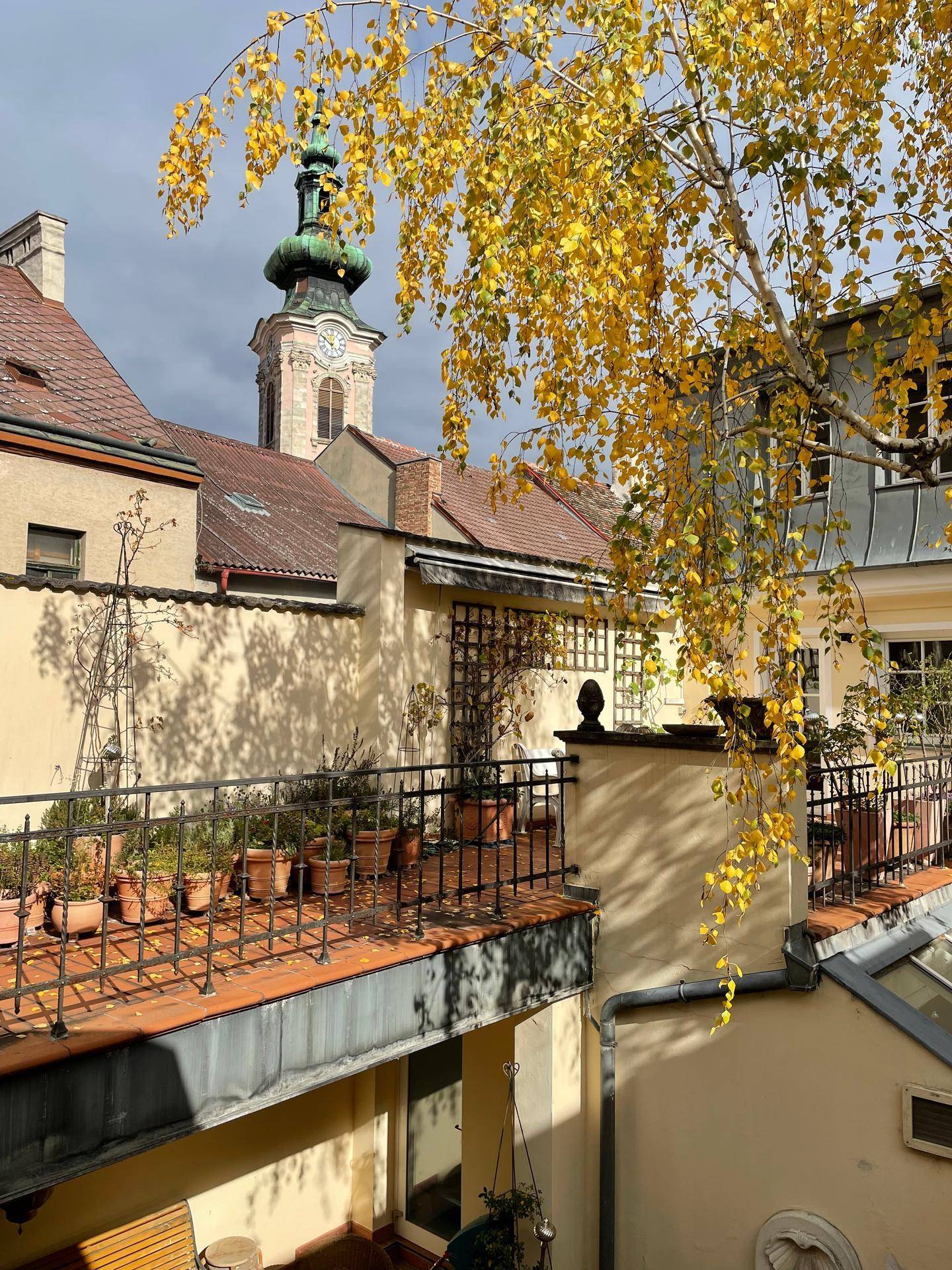 Sonniger Terrassenbereich mit vielen Pflanzen und einem malerischen Blick auf den Kirchturm.