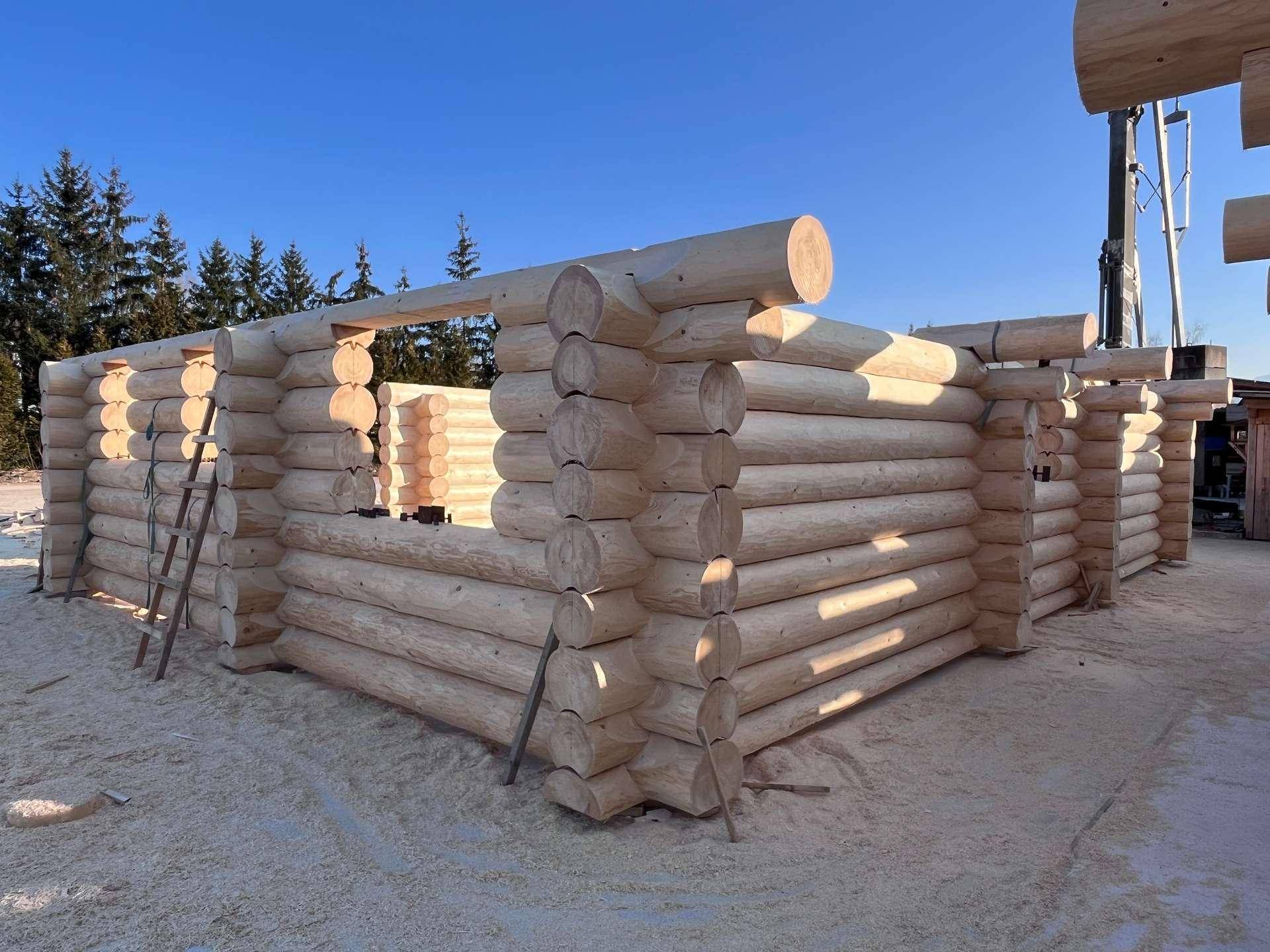 Grundstruktur eines Blockhauses im Bau, mit frisch geschnittenen Holzstämmen und einer Leiter auf der Baustelle.
