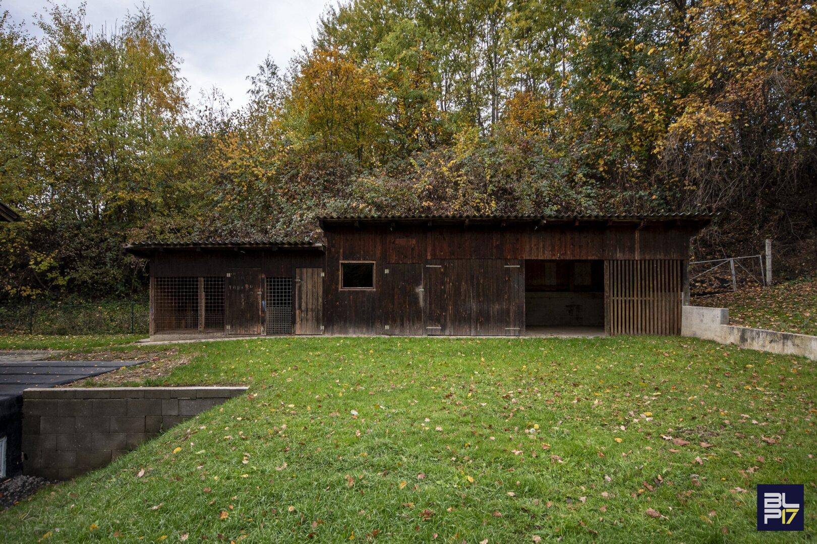 Hölzernes Nebengebäude oder Schuppen auf einer grünen Rasenfläche umgeben von Bäumen.
