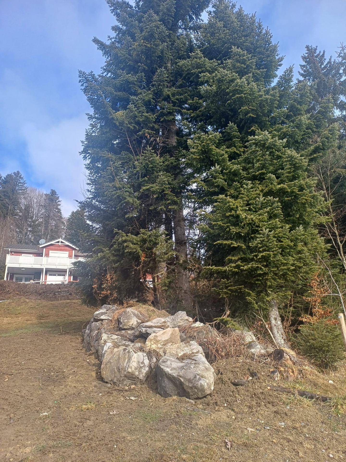 Felsformationen und hohe Bäume am Hang, mit einem traditionellen Haus im Hintergrund unter klarem Himmel.