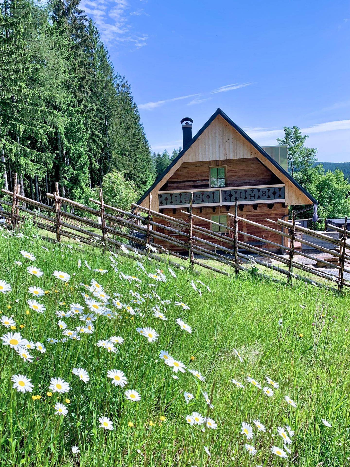 Charmantes Holzchalet in idyllischer Landschaft mit Blumenwiese im Vordergrund.