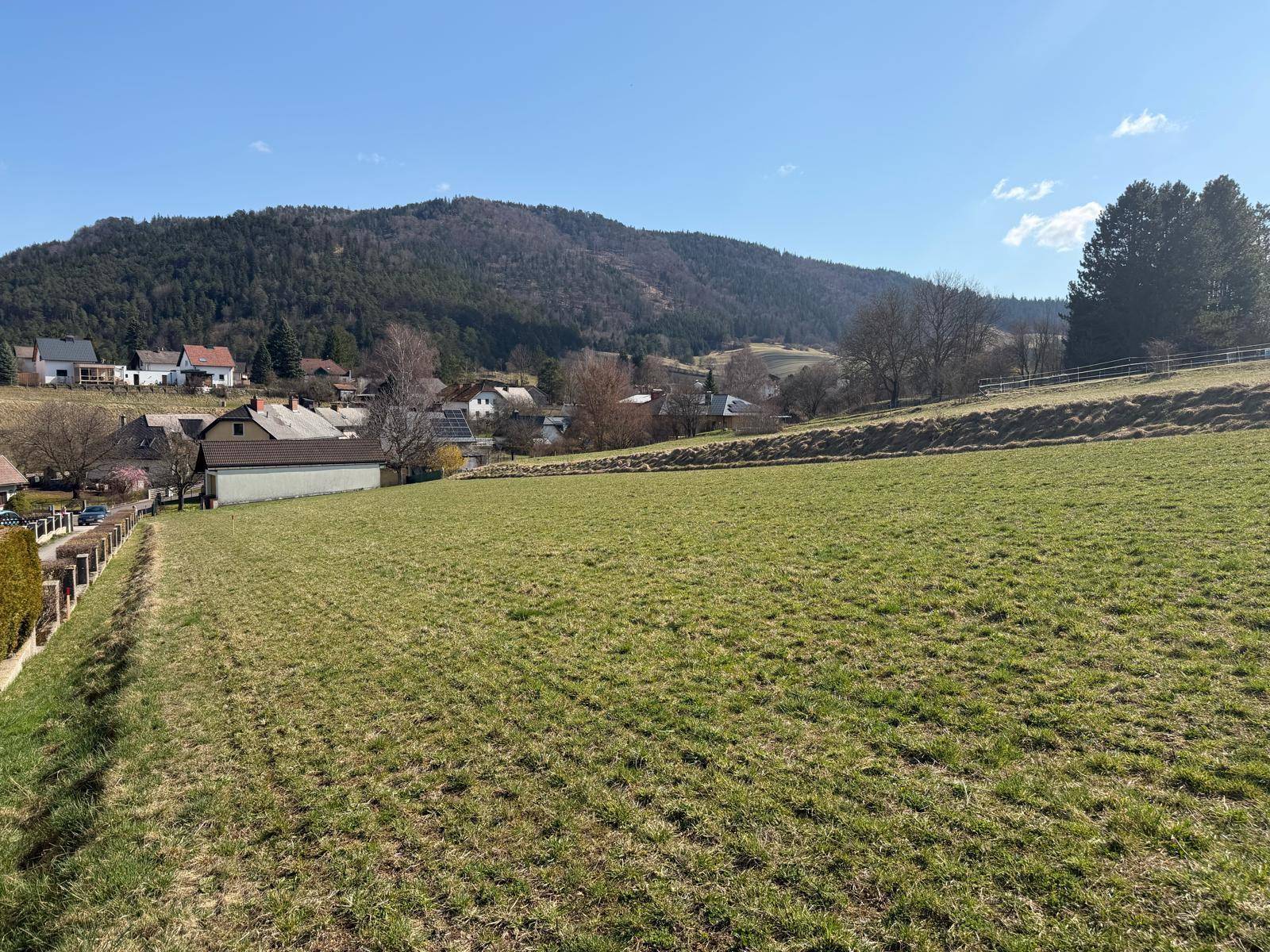 Baugrundstück mit 1092 m² in Neusiedl sofort verfügbar - Ansicht 4
