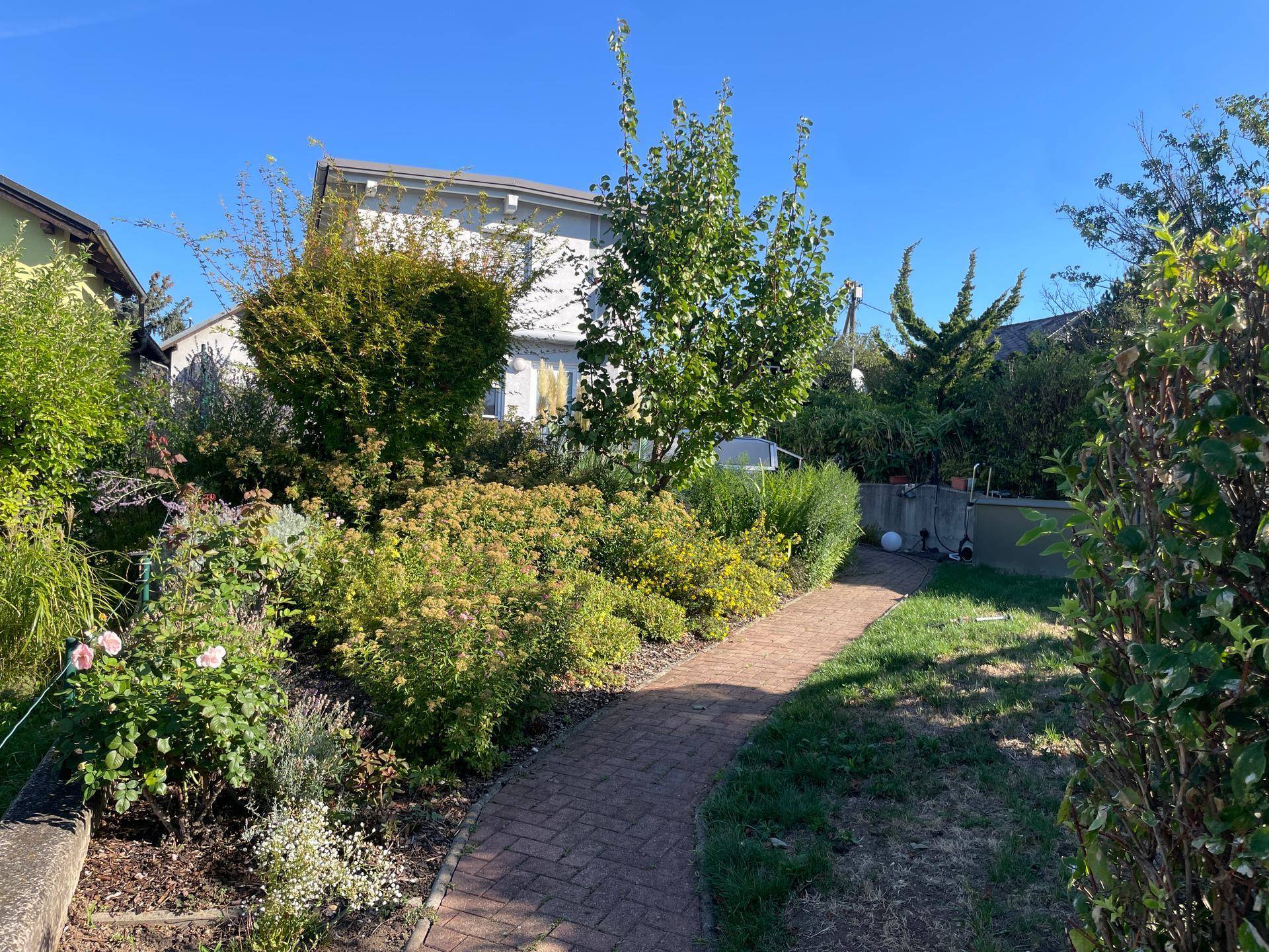 Gepflegter Garten mit einem Ziegelweg, üppiger Bepflanzung und Blick auf das Haus.
