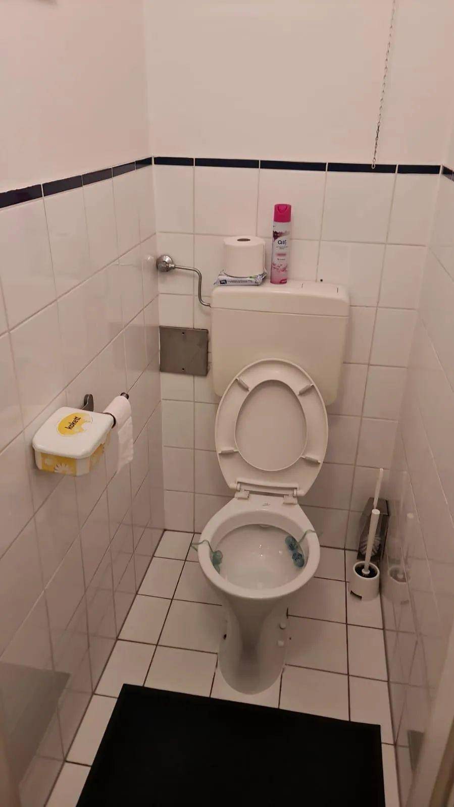 Kleines Badezimmer mit WC, Fliesen an Wänden und Boden, sowie einem Spülkasten.