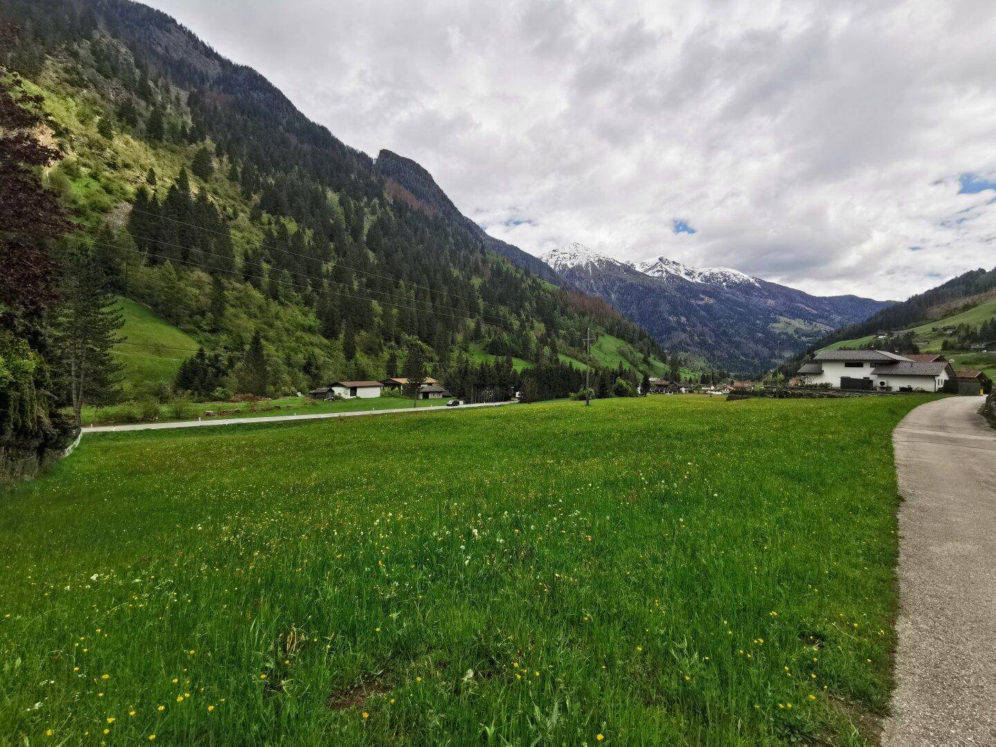 Baugrund sucht Traumhaus! - Ansicht 3