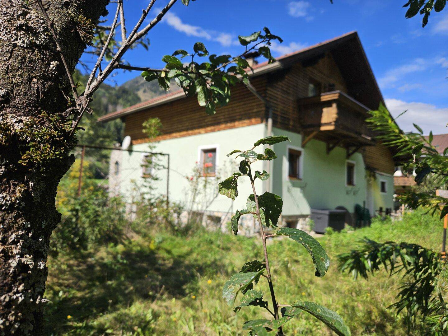 Hausansicht durch Bäume und Sträucher, mit Blick auf die umliegende Natur.