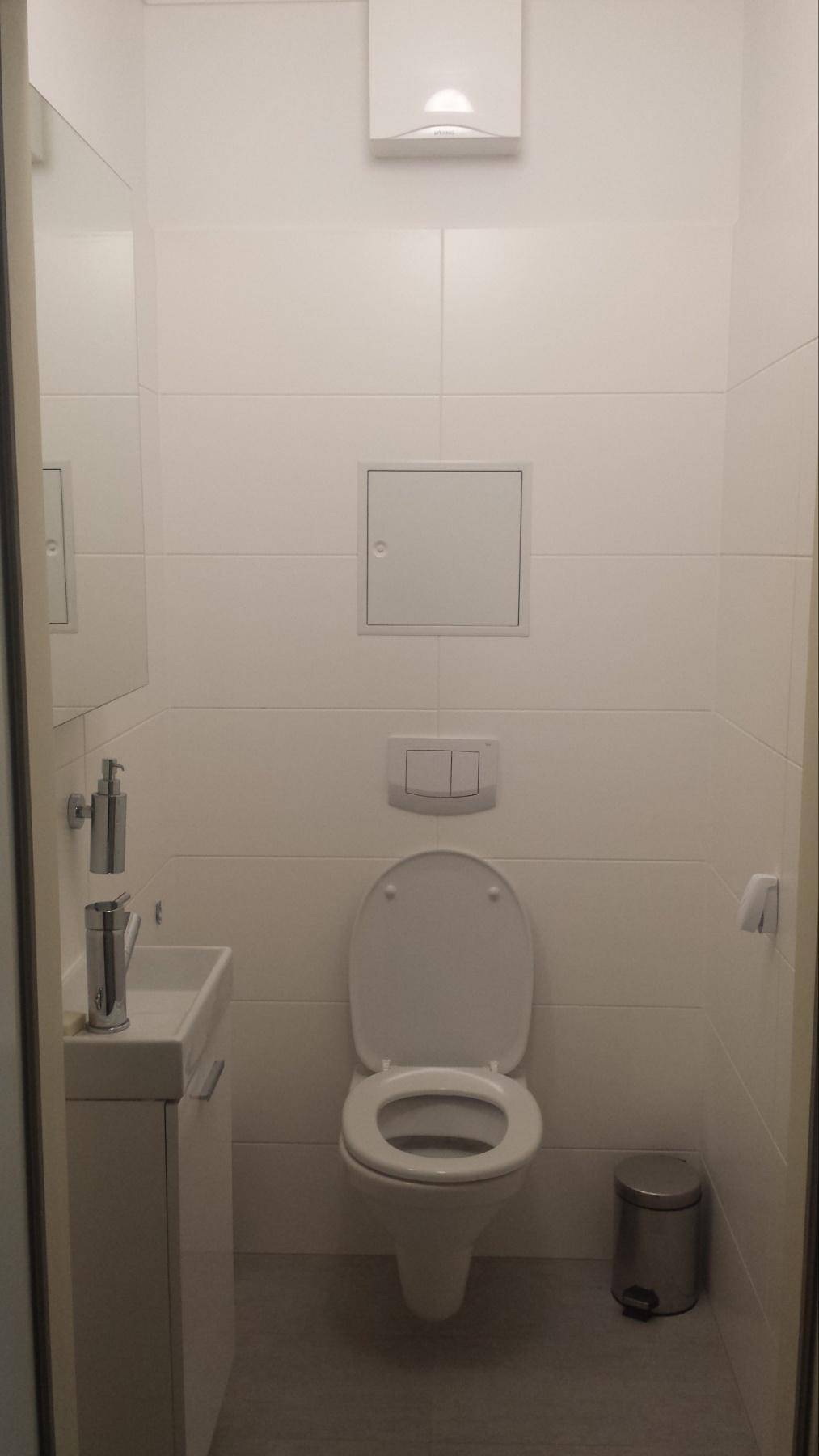 Kleines, funktionales Gäste-WC mit wandhängender Toilette und Handwaschbecken.