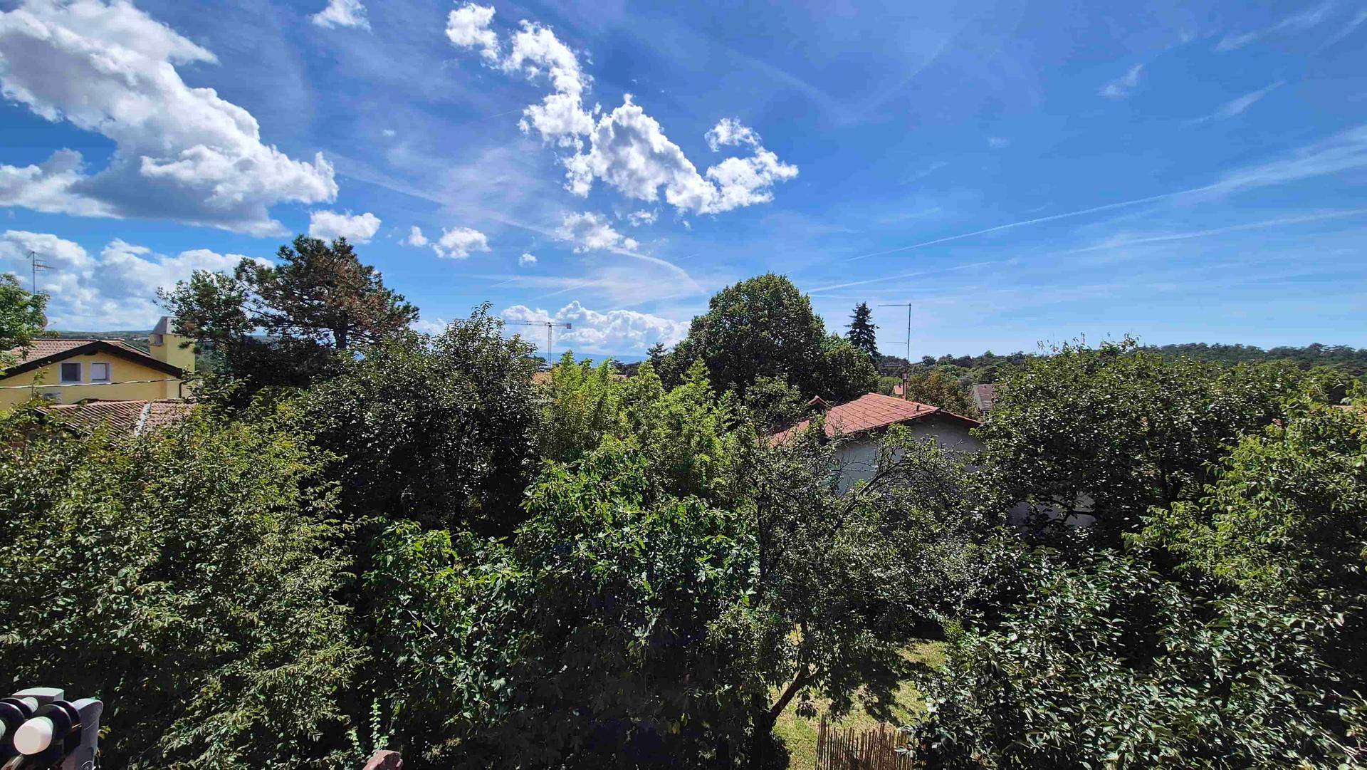 Panoramablick über die Baumwipfel und die umliegende grüne Landschaft unter blauem Himmel.