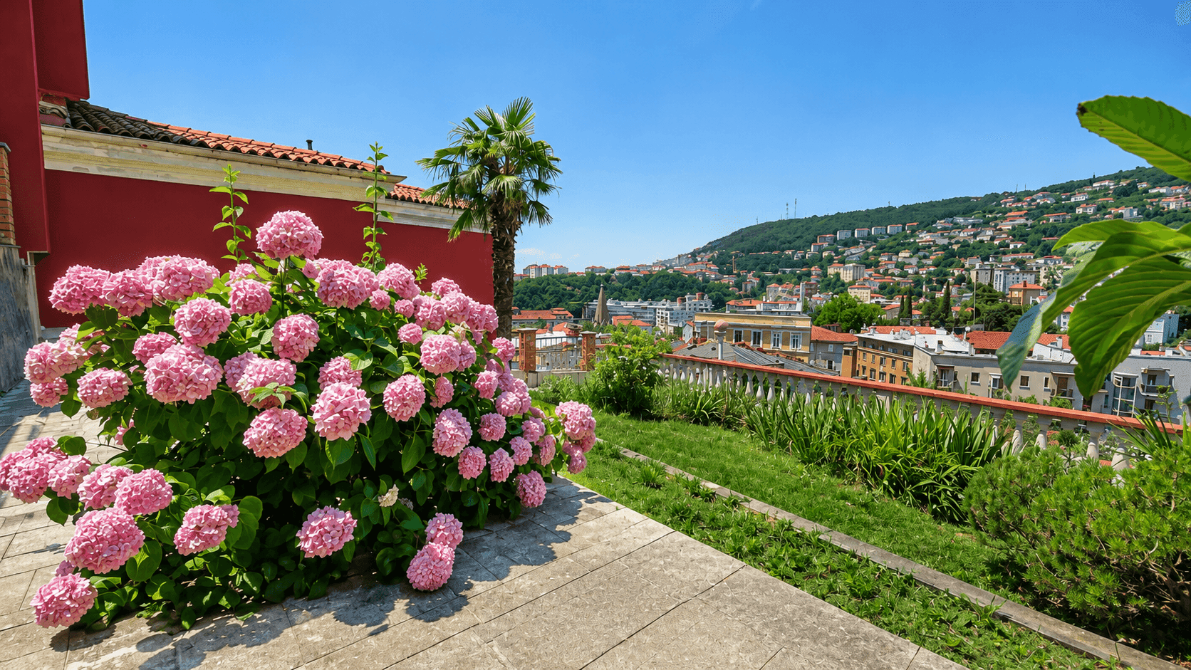 Blühende Hortensien im Garten mit Panoramablick auf die Stadt und die bewaldeten Hügel.