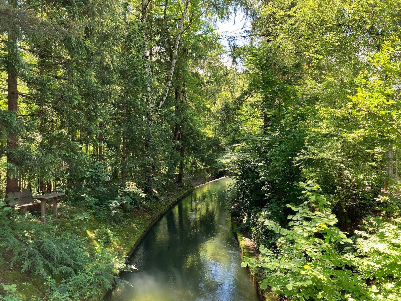 Malerischer Kanal umgeben von dichtem Wald und üppiger Vegetation, der eine ruhige Naturkulisse bietet.