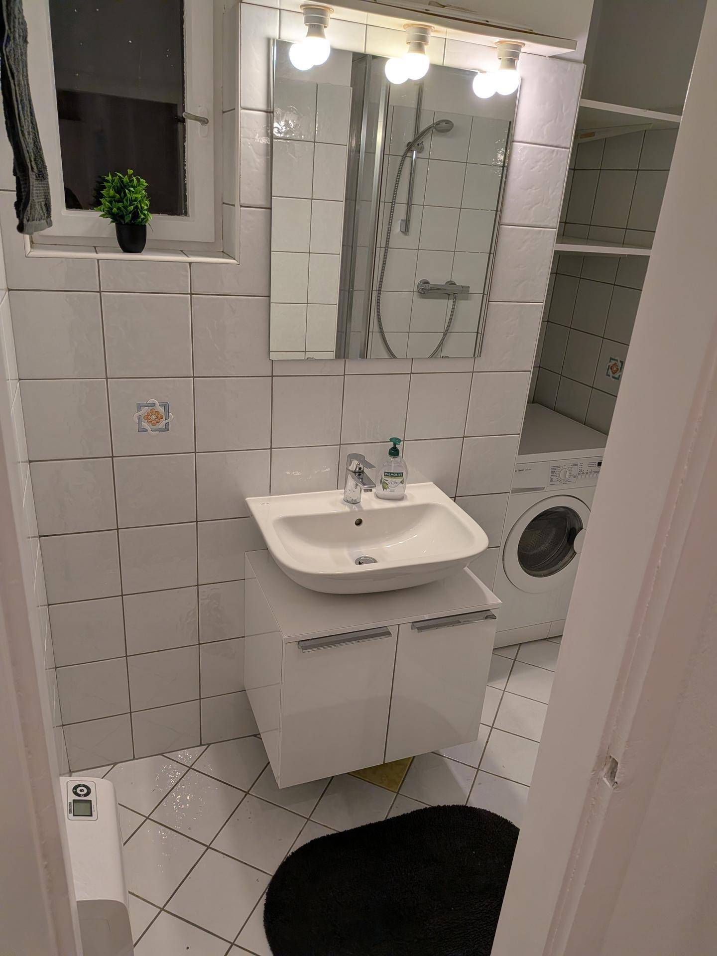 Badezimmer mit weißem Waschbecken, Spiegelschrank und integrierter Waschmaschine.