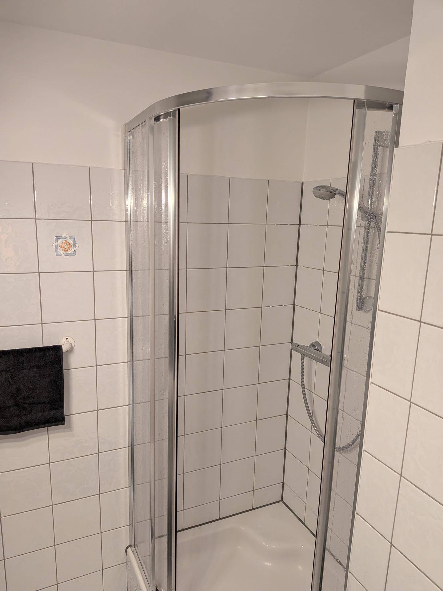 Eckdusche mit Glasabtrennung in einem hell gefliesten Badezimmer.