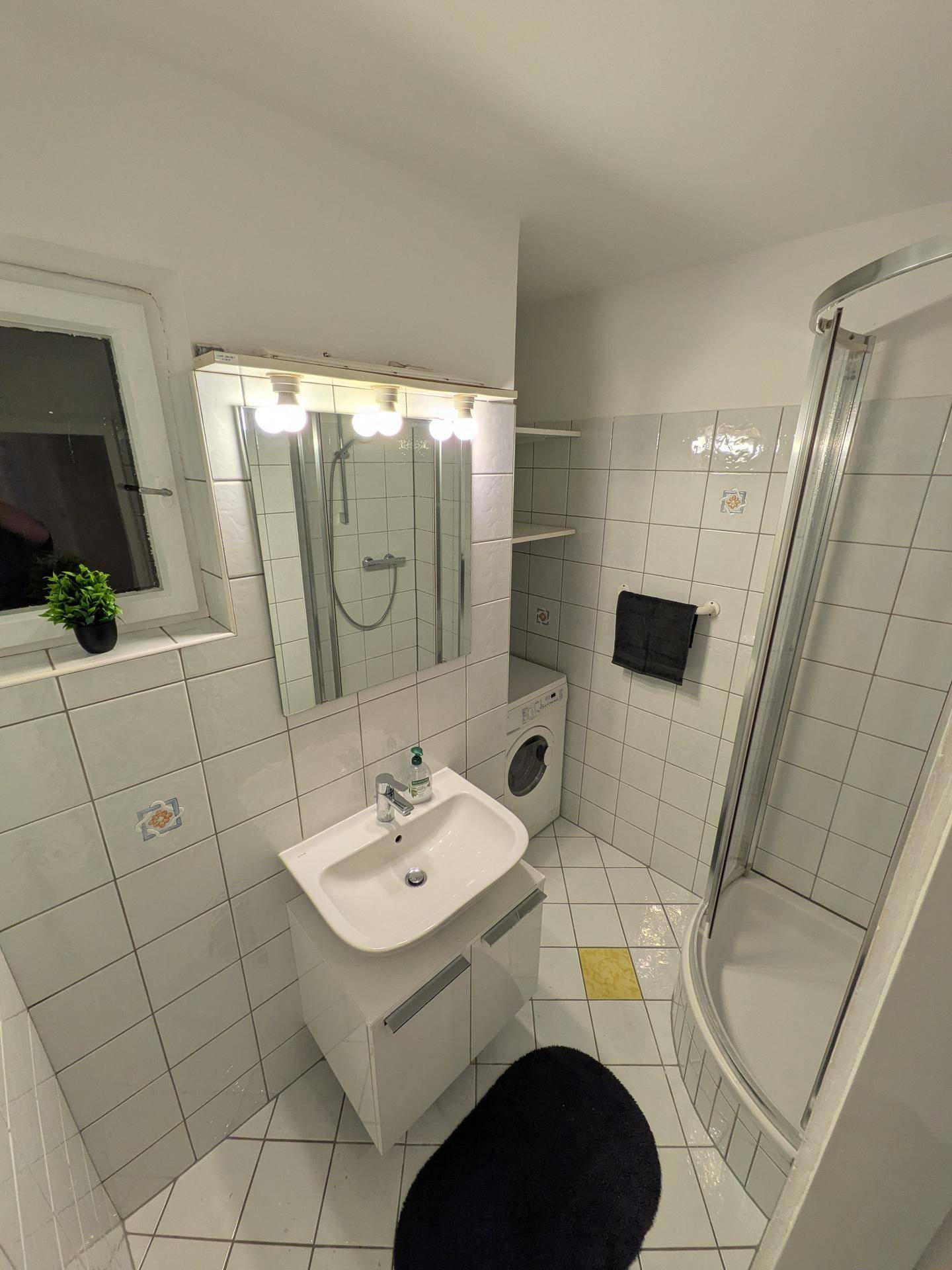 Gefliestes Badezimmer mit Dusche, Waschbecken, Spiegelschrank und Waschmaschine.