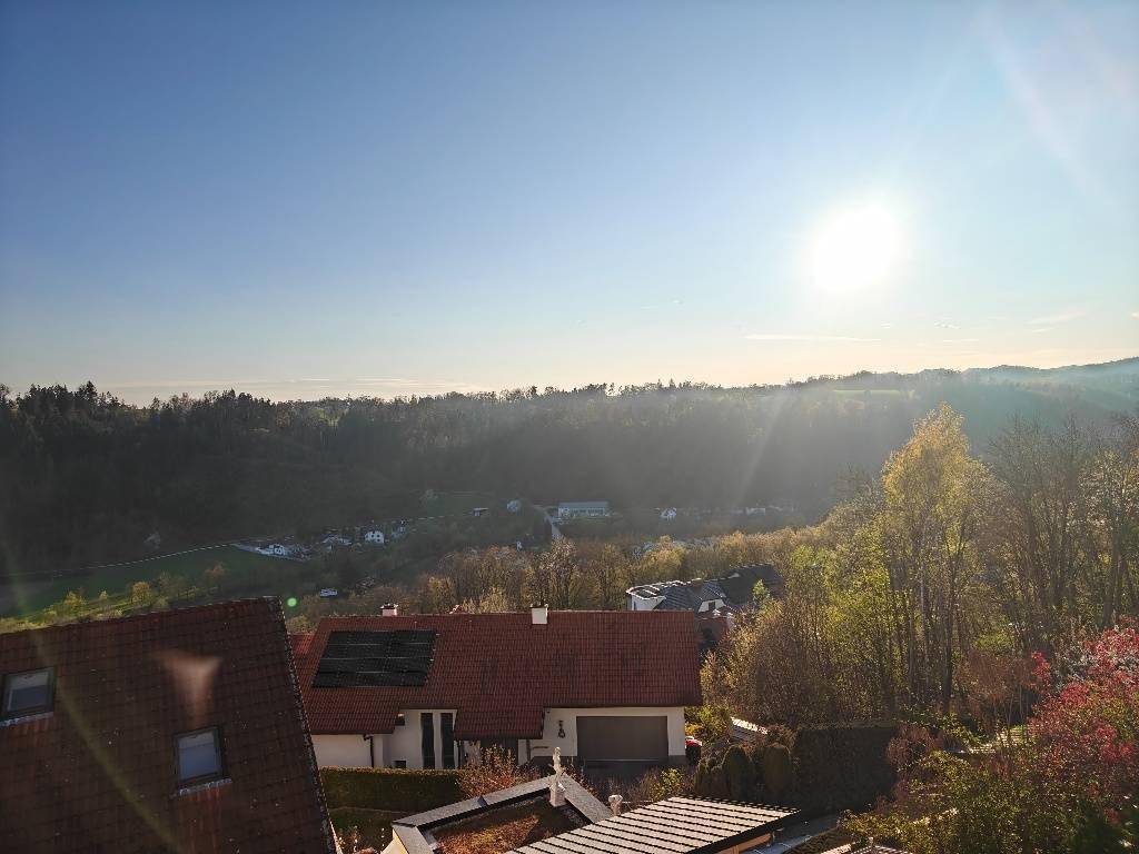 Weitläufiger Blick über die grüne Landschaft mit Häusern und viel Sonne.