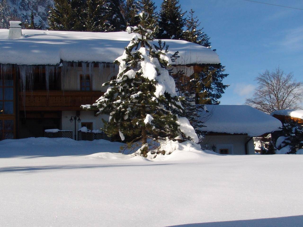 Winterlandschaft mit Haus, verschneiten Bäumen und weitem Blick.