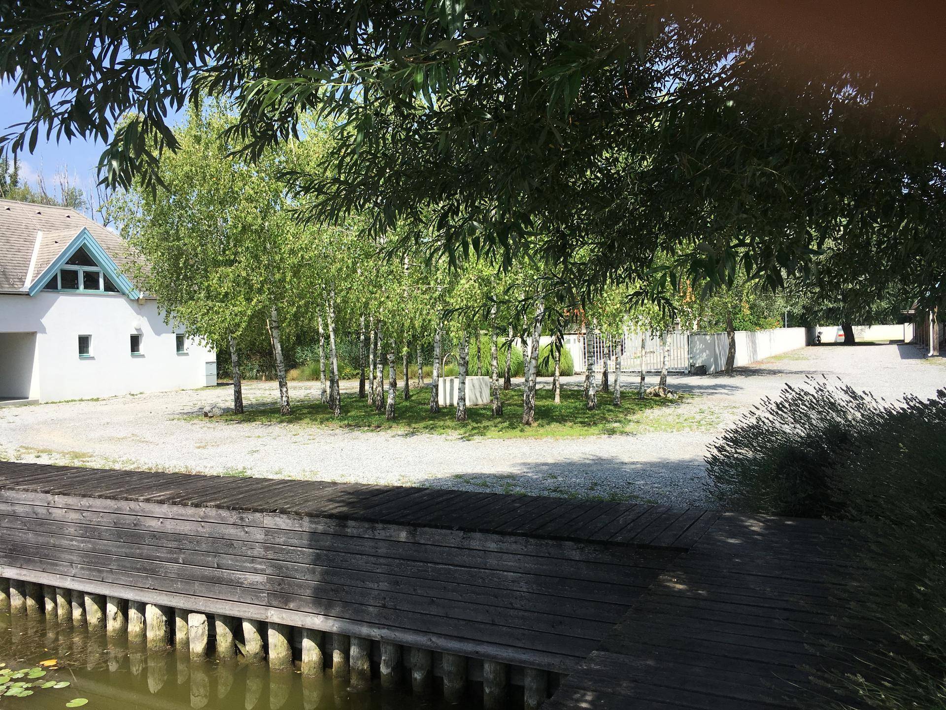 Außenbereich mit Kiesfläche, jungen Birkenbäumen und einem Holzsteg am Wasser.