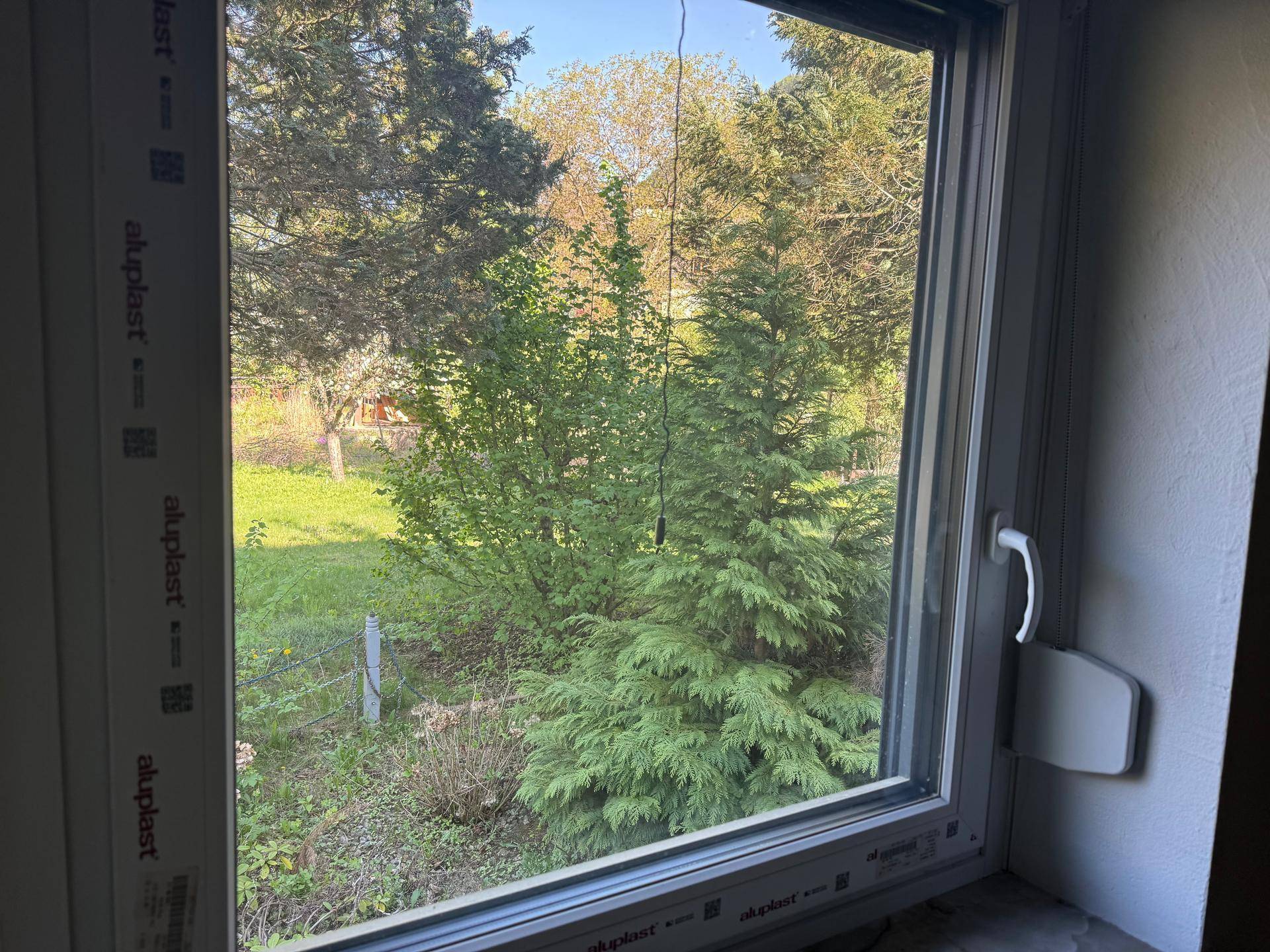 Fenster mit Blick ins Grüne, umgeben von Bäumen und Sträuchern.