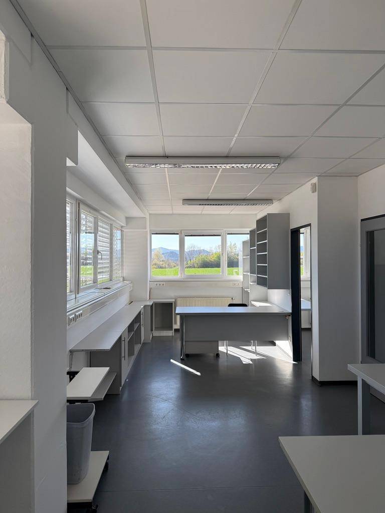Großes, helles Büro mit mehreren Arbeitsplätzen und weitem Blick ins Grüne.