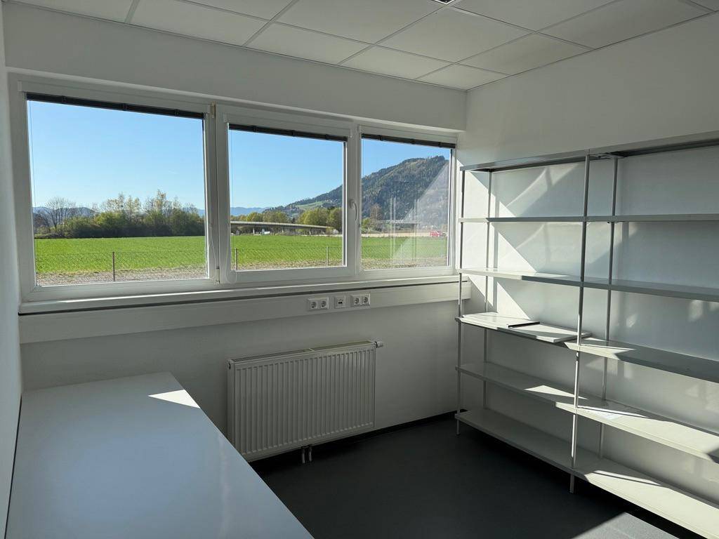 Helles Einzelbüro mit Regalen und großem Fenster, das eine grüne Aussicht bietet.