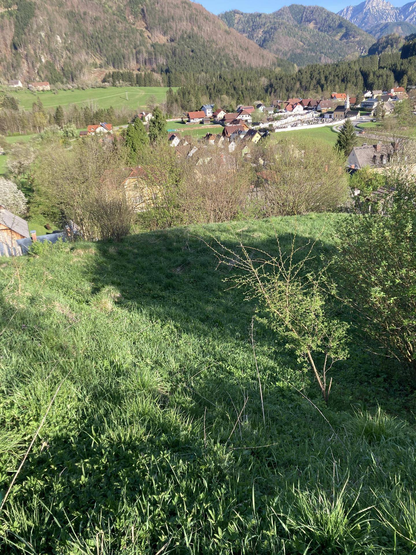 Panoramablick über eine sanfte grüne Hügellandschaft mit vereinzelten Büschen und einem Dorf in der Ferne.