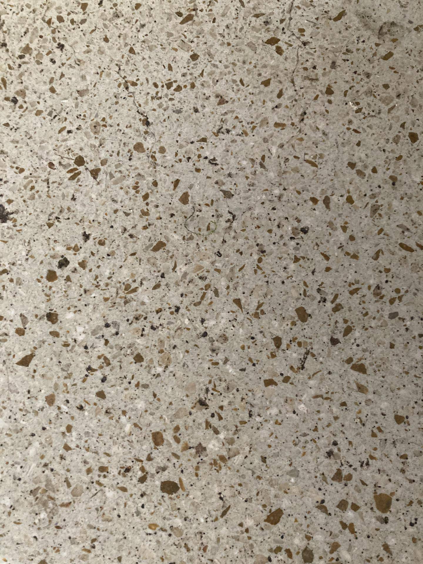 Nahaufnahme eines hellgrauen Terrazzobodens mit kleinen, dunklen und hellen Steinsplittern.