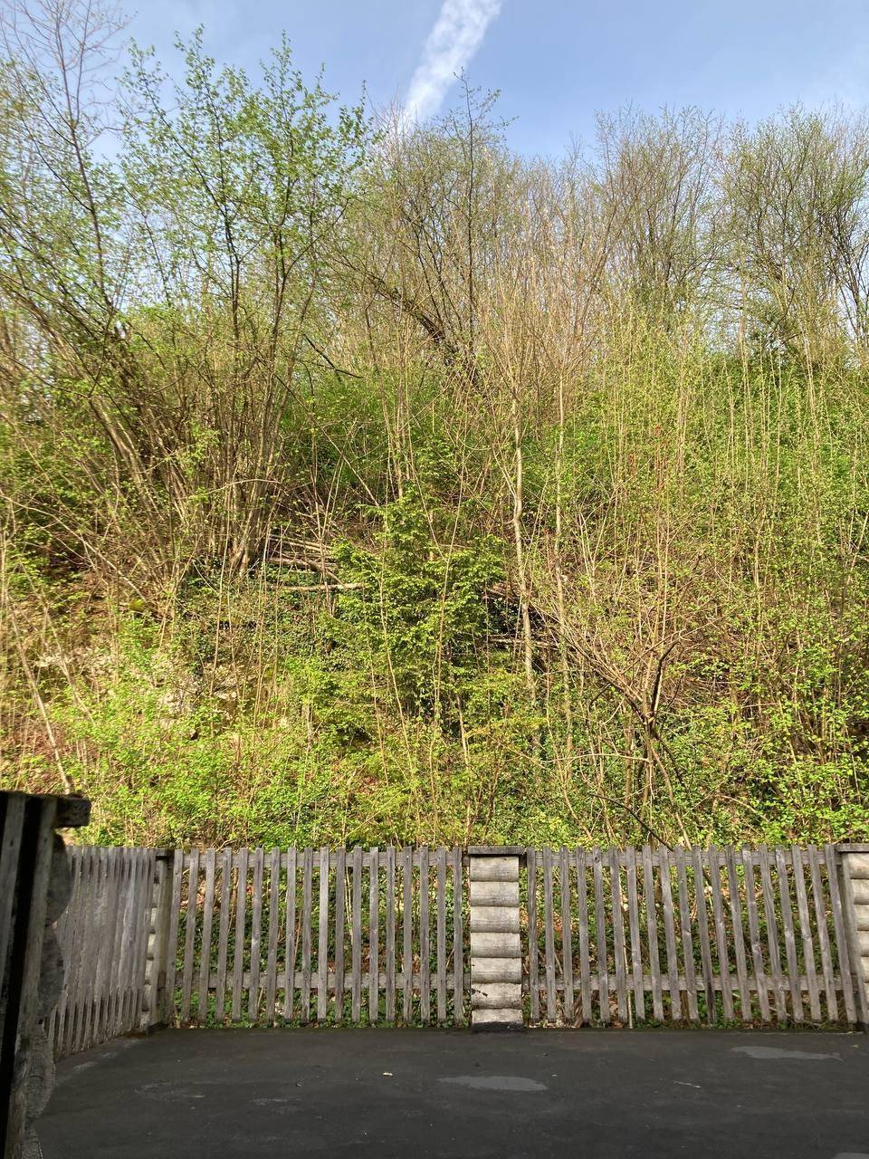 Gepflasterter Außenbereich mit Holzzaun und Blick auf einen dicht bewachsenen grünen Hang.