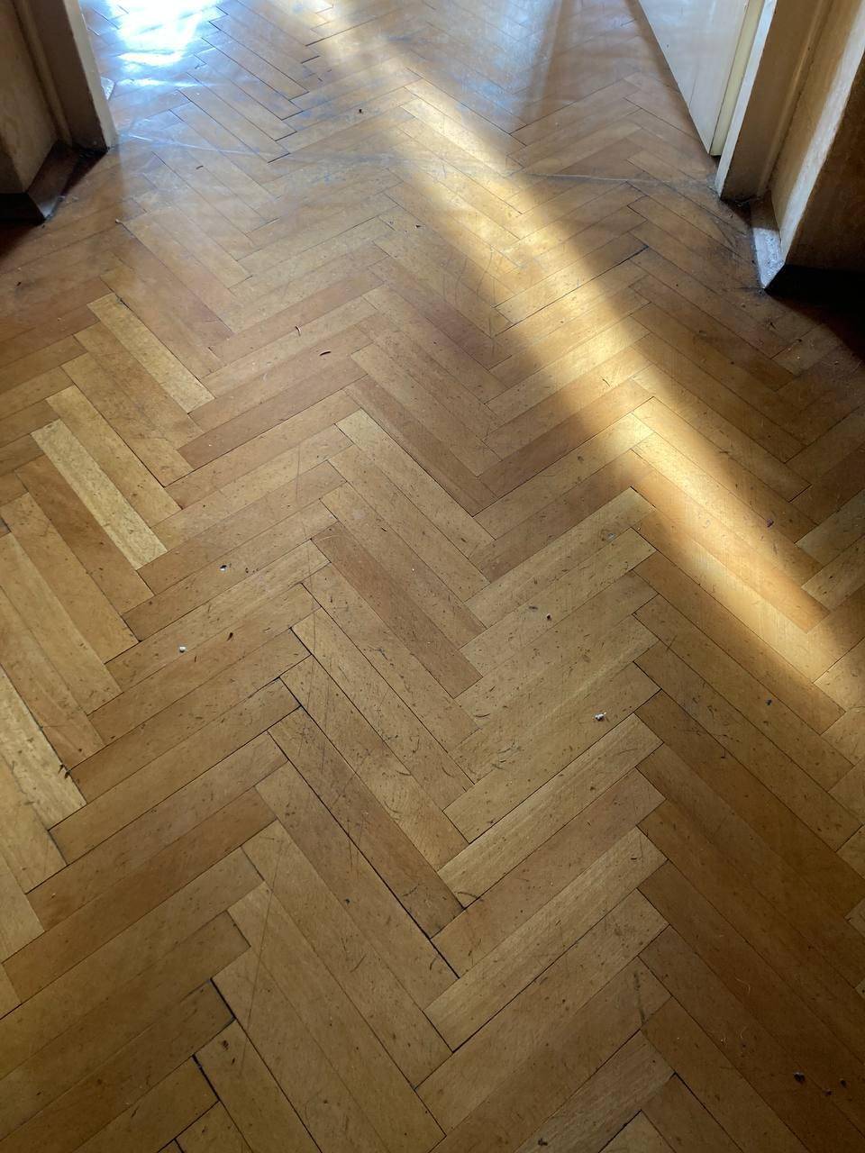 Klassischer Fischgrätparkettboden, der von Sonnenlicht durchflutet wird und eine warme Atmosphäre schafft.