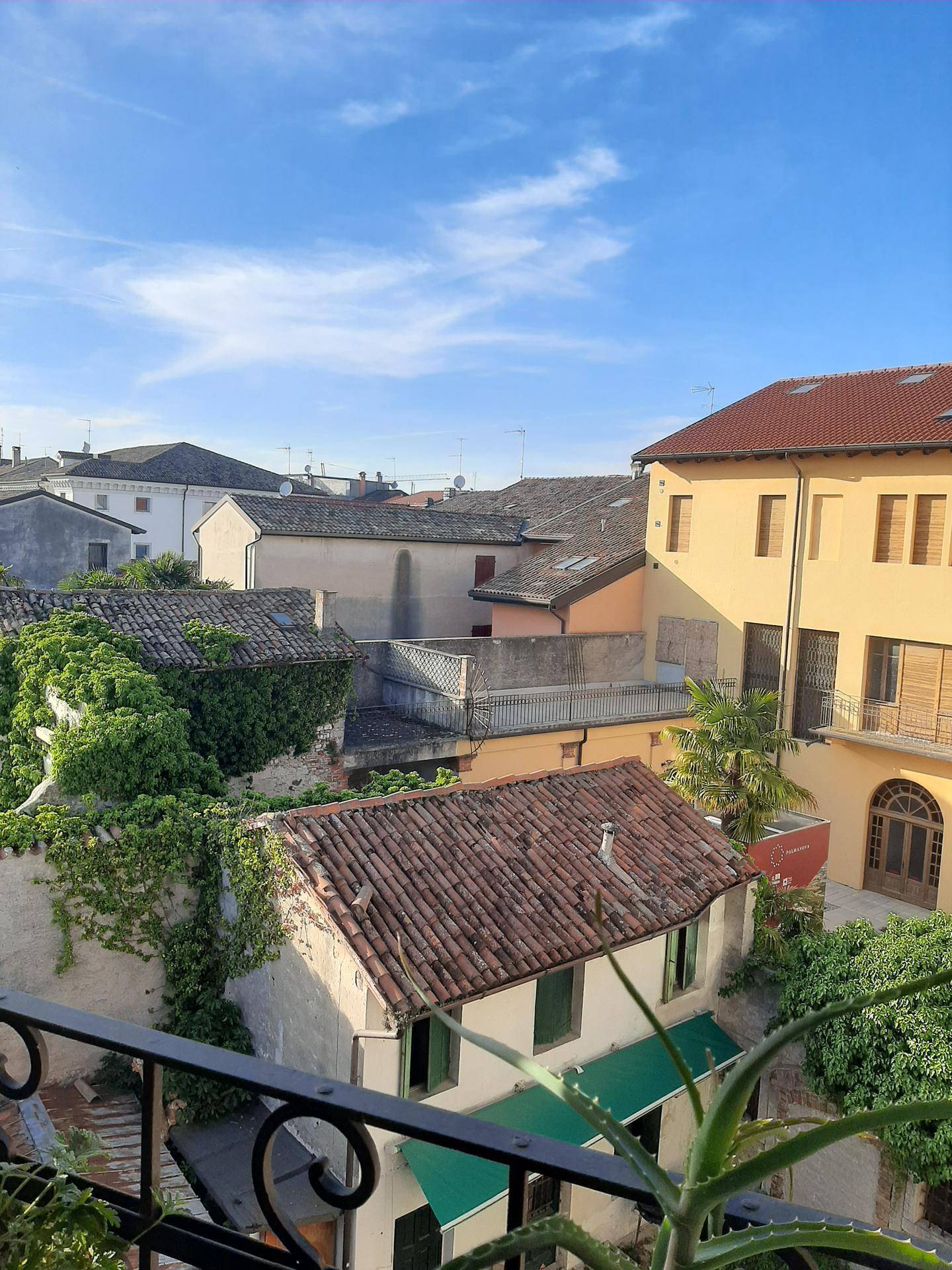 Blick von einem Balkon über die Dächer der Altstadt und einen grünen Innenhof unter blauem Himmel.