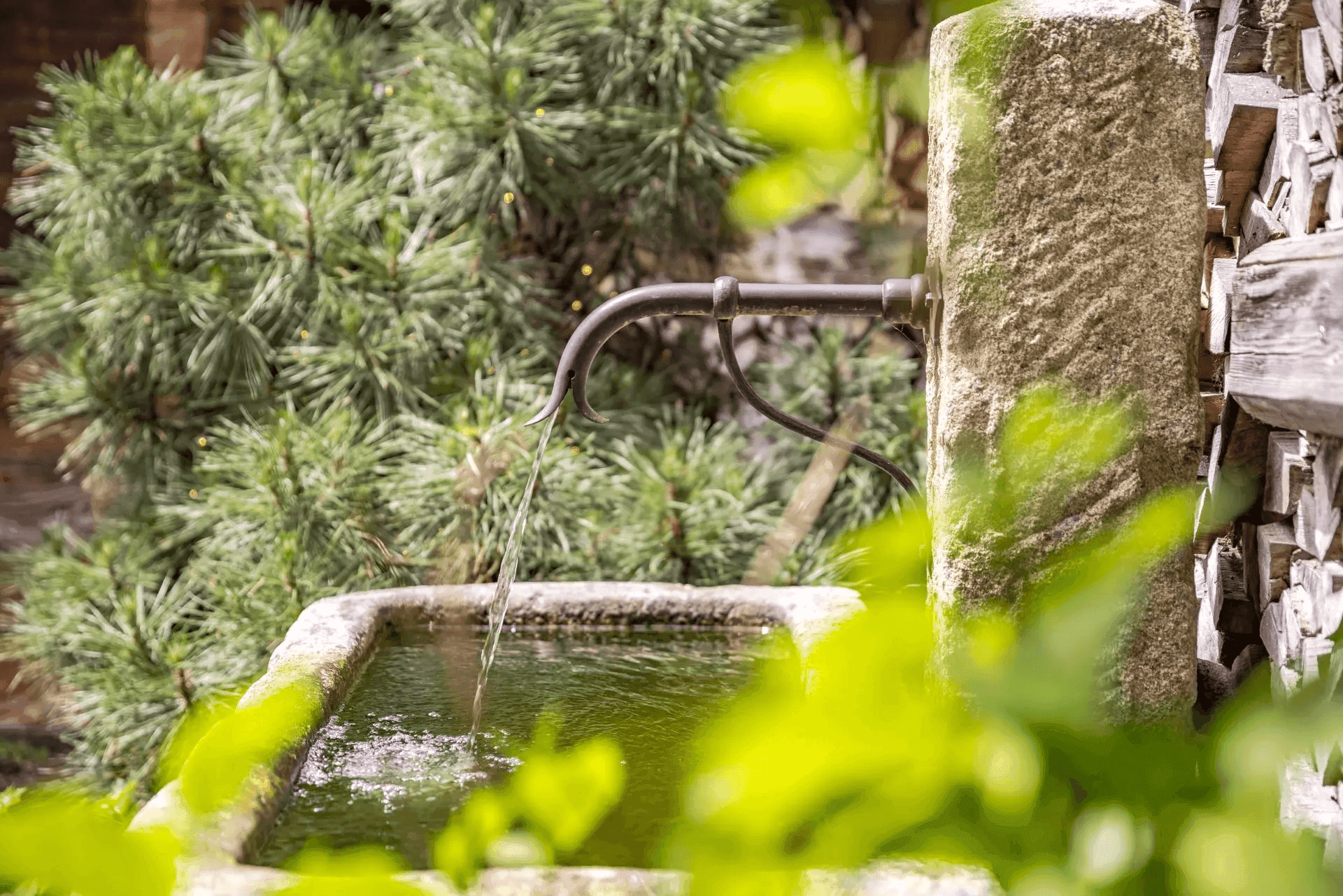 Rustikaler Steinbrunnen mit fließendem Wasser, umgeben von grünen Pflanzen im Garten.