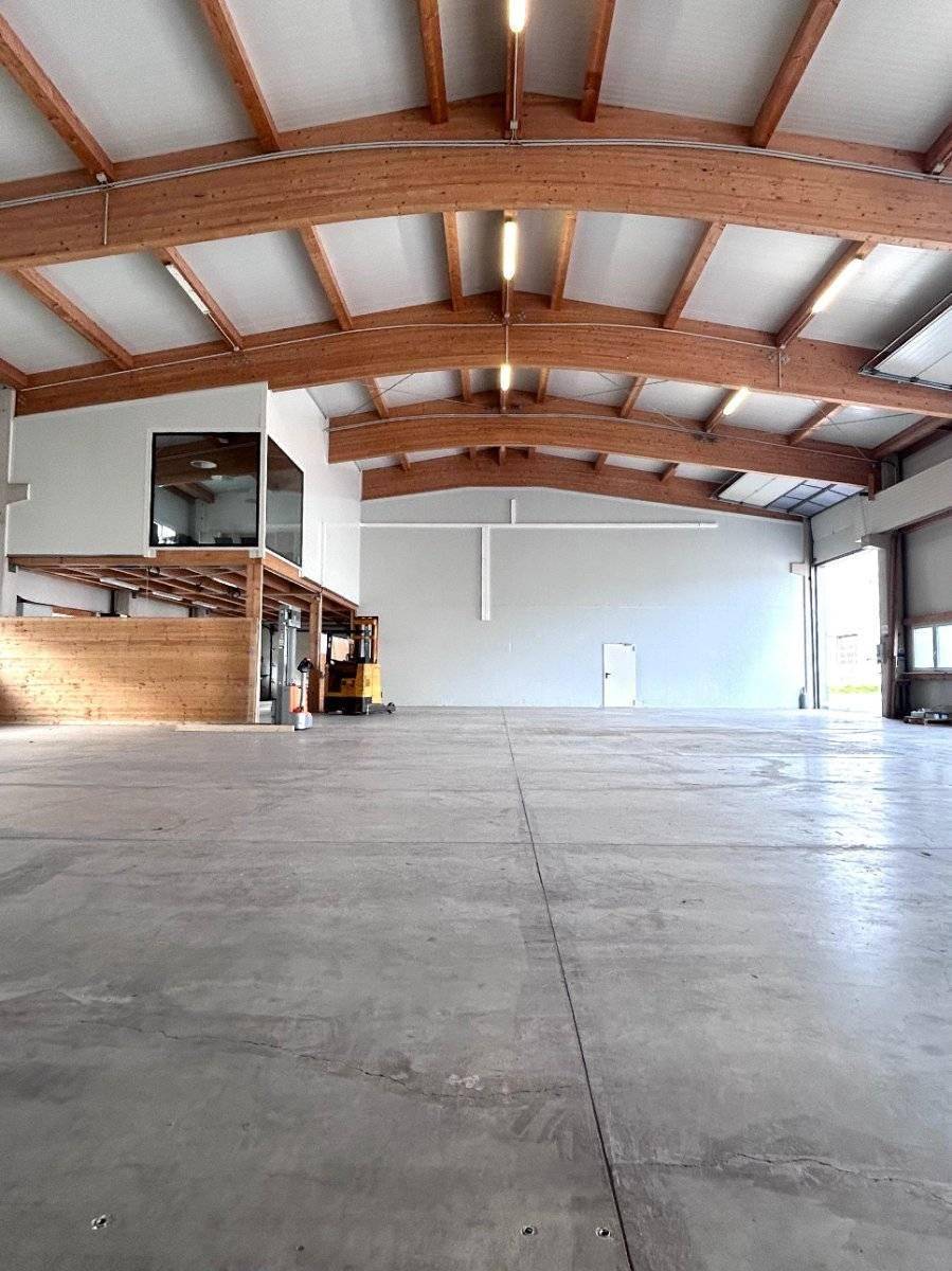 Geräumige Lagerhalle mit hoher Holzbalkendecke, Betonboden und viel Tageslicht durch große Tore.