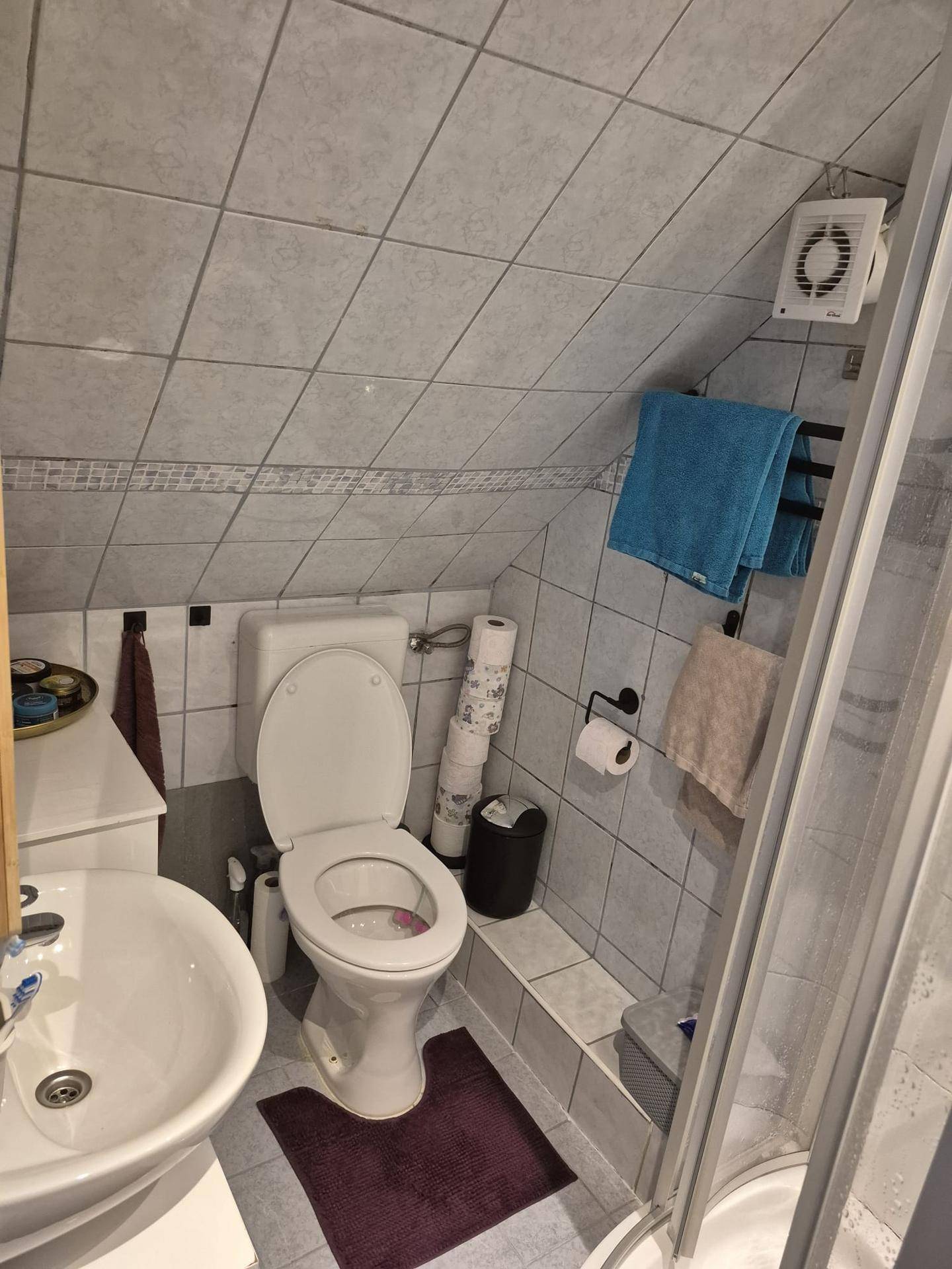 Kleines Badezimmer im Dachgeschoss mit WC, Waschbecken und Duschkabine unter der Dachschräge.