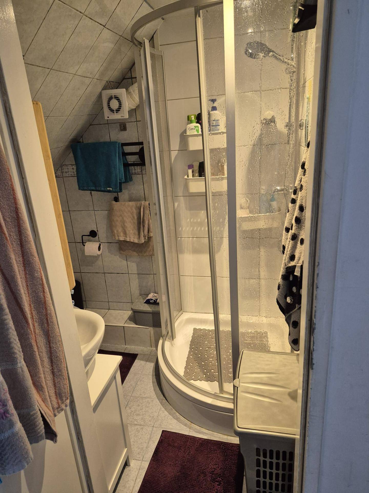 Funktionales Badezimmer mit Duschkabine, Waschbecken und Fliesen unter der Dachschräge.