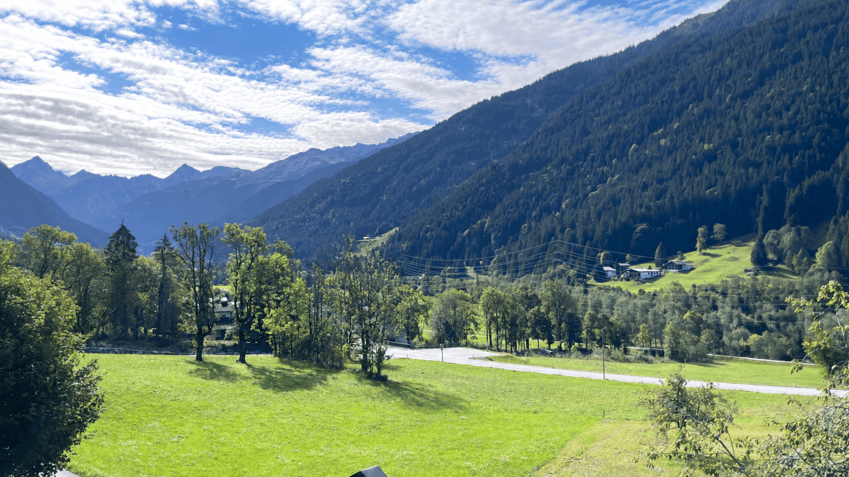 Panoramablick auf die grüne Berglandschaft mit Wäldern und Wiesen.