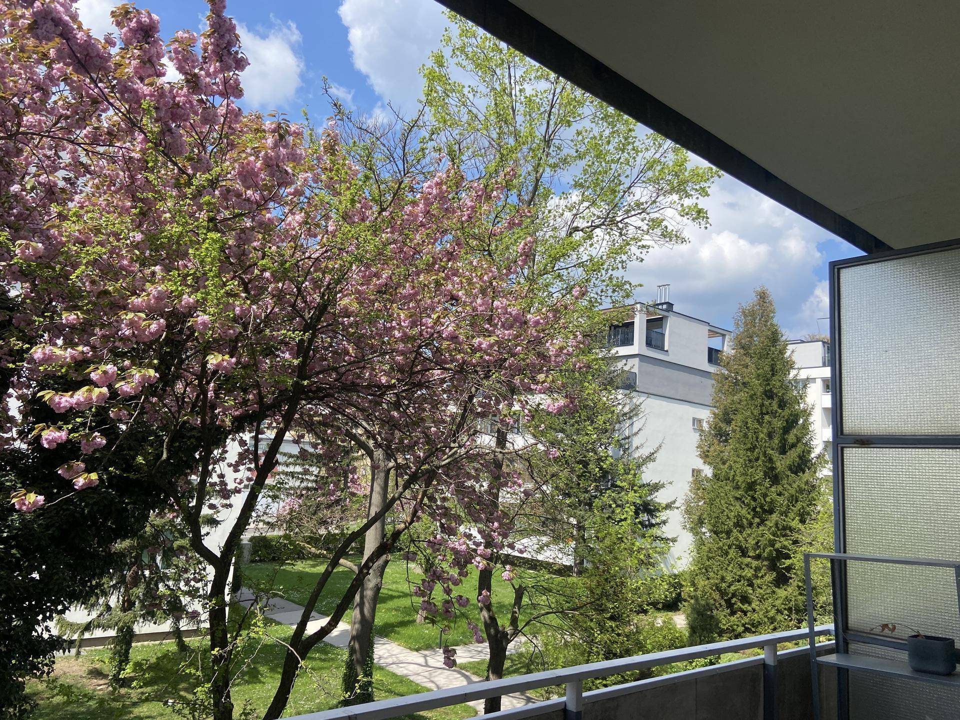 Balkonblick mit blühenden Bäumen, Grünflächen und einem modernen Wohngebäude unter sonnigem Himmel.