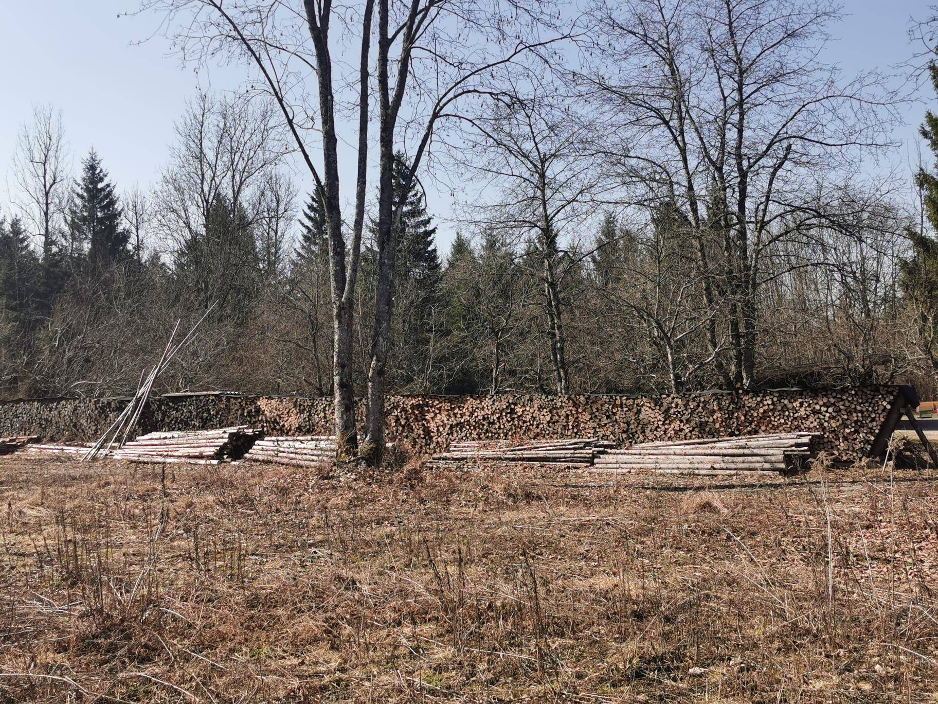 Grundstück am Wald &amp; idNv Faaker See, Aichwaldsee - Ansicht 5