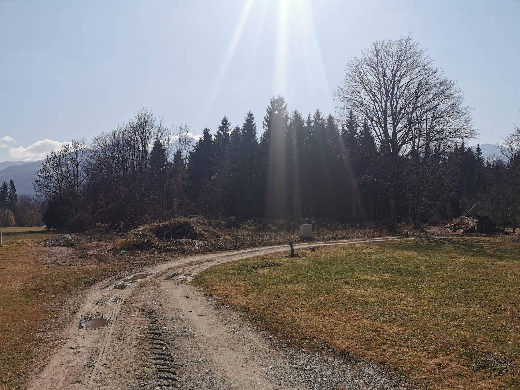 Grundstück am Wald &amp; idNv Faaker See, Aichwaldsee - Mehr