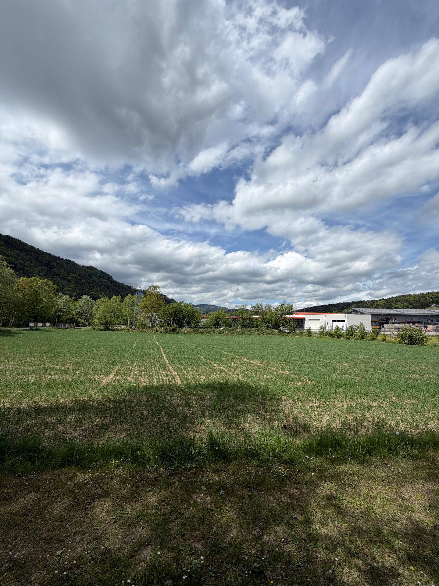 Blick über ein grünes Feld auf bewaldete Berge und einige Gebäude unter einem dramatischen Himmel.