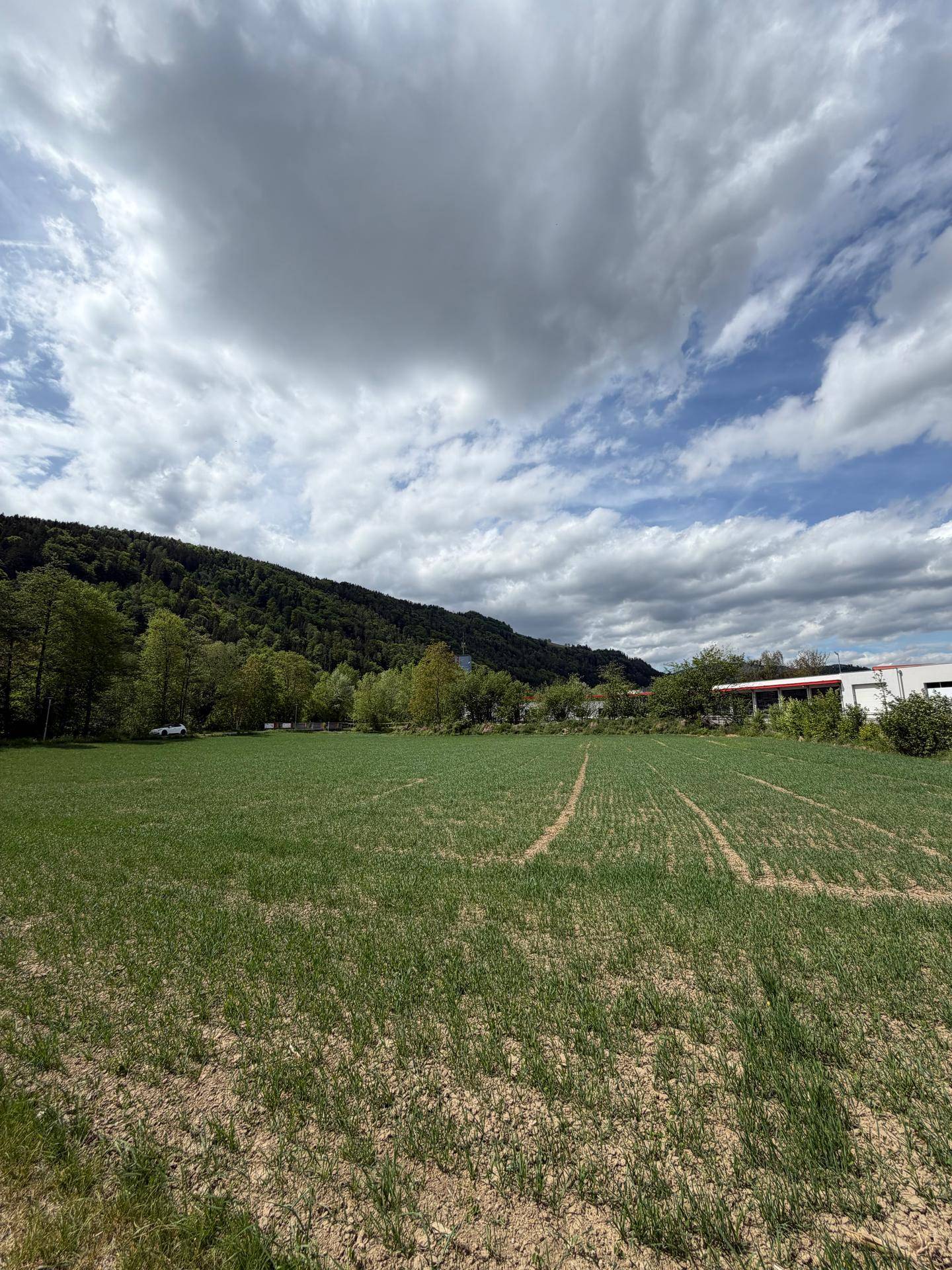Ausgedehntes grünes Feld mit Spuren von Landwirtschaft, umgeben von bewaldeten Hügeln und einem weiten Himmel.