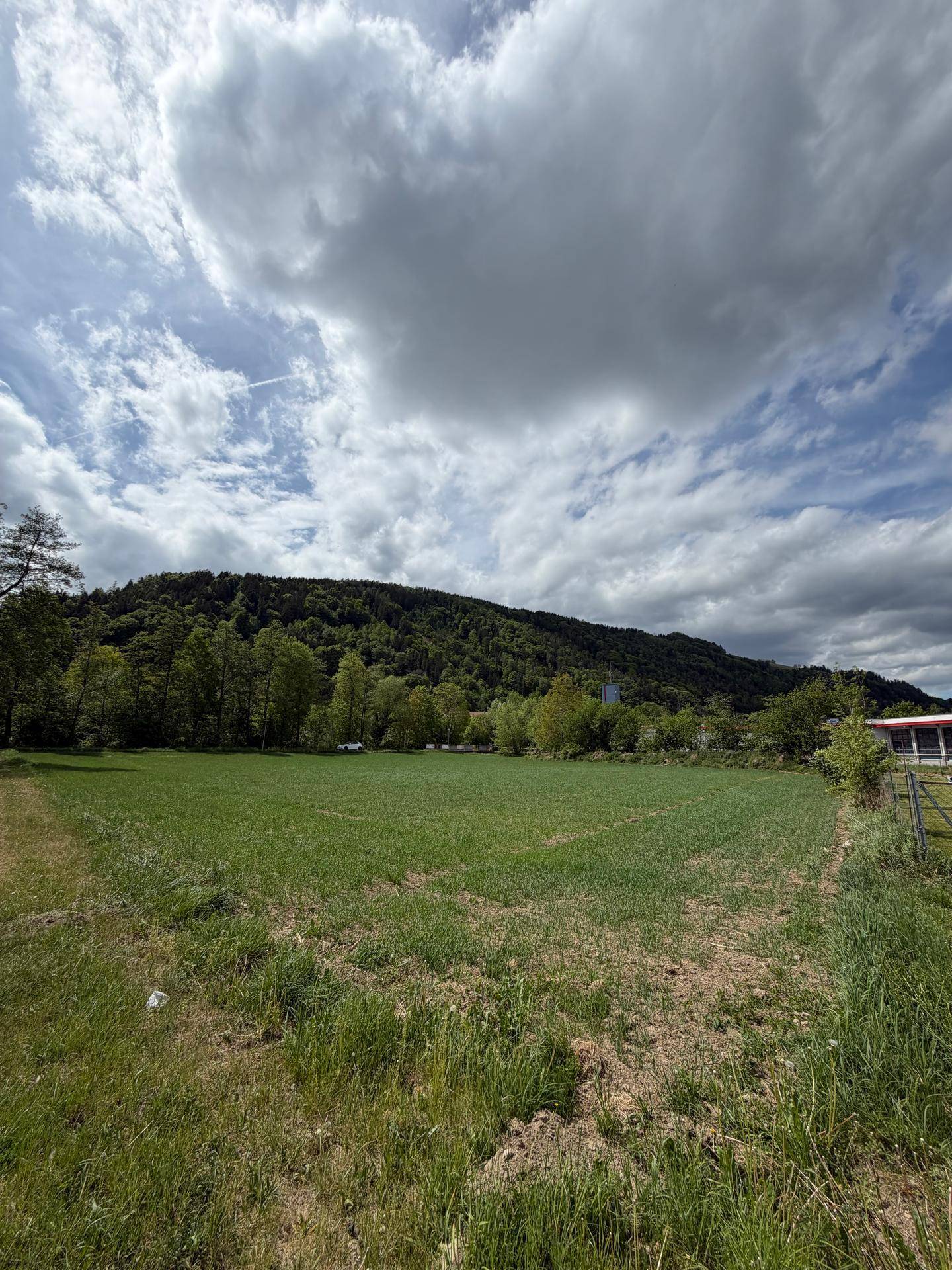 Weites grünes Feld mit dicht bewaldeten Bergen im Hintergrund unter einem teilweise bewölkten Himmel.